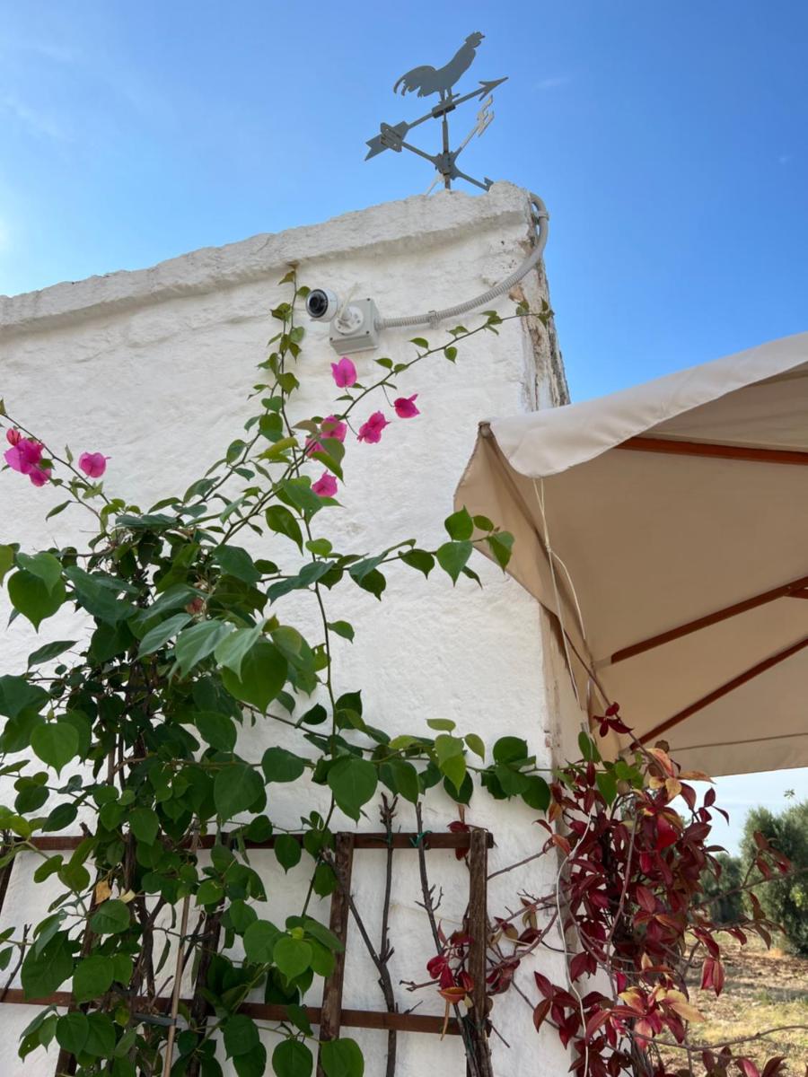 La Guendalina Masseria e Casa Particular view 4
