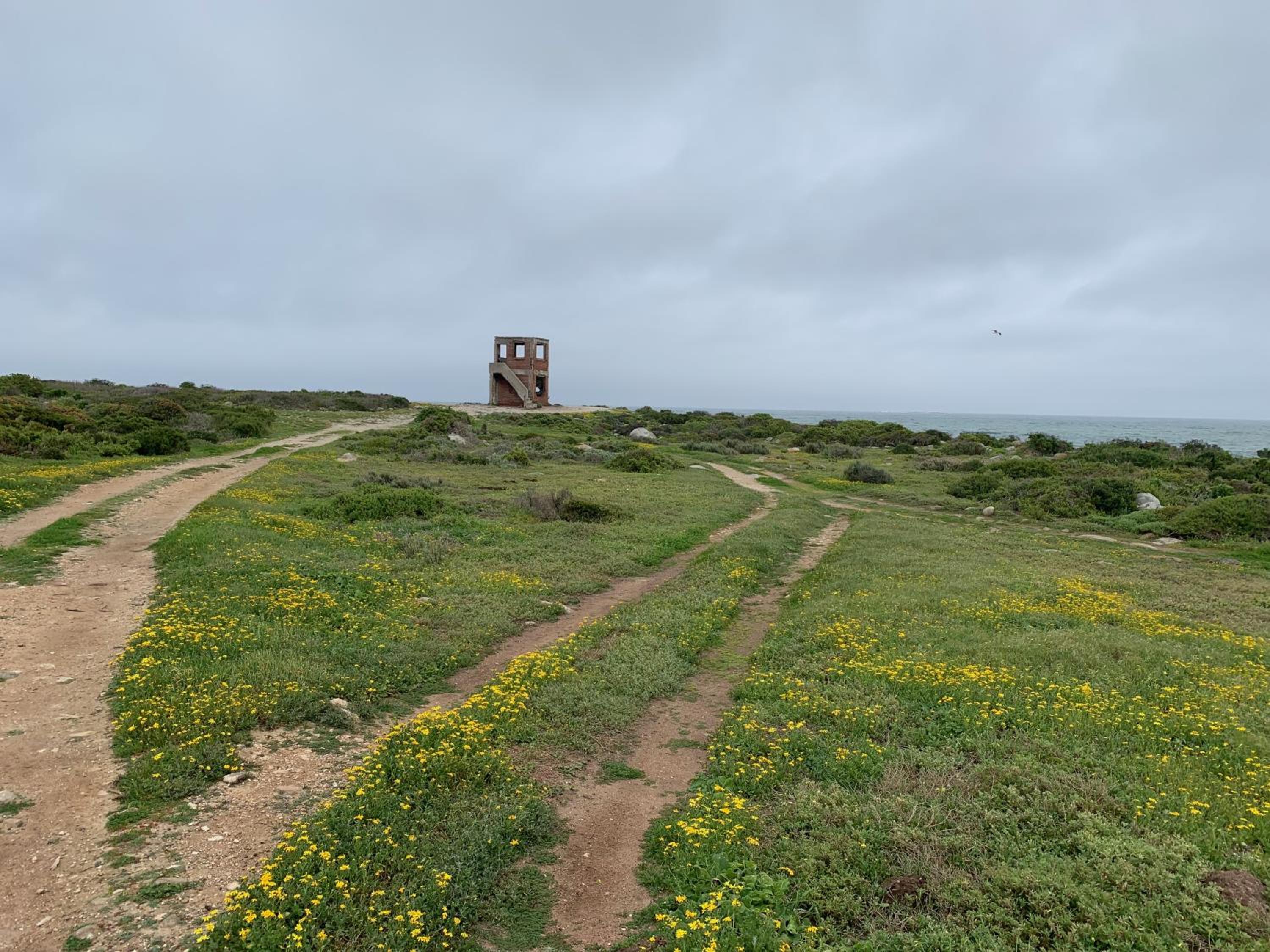 Photo 25
