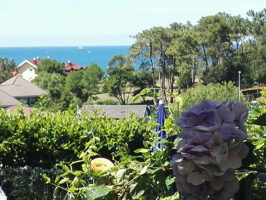 " Estelas" view 4