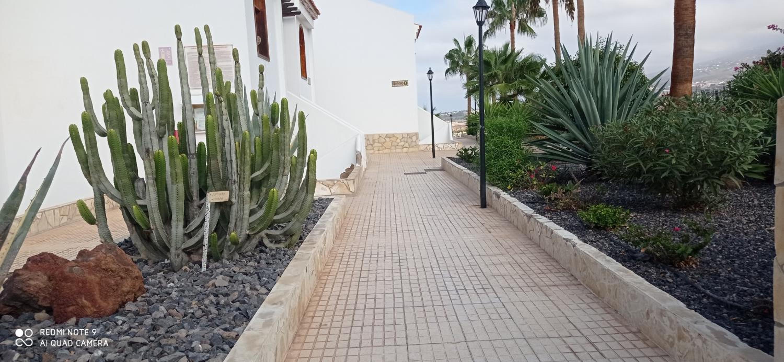 HC home abroad Costa Adeje