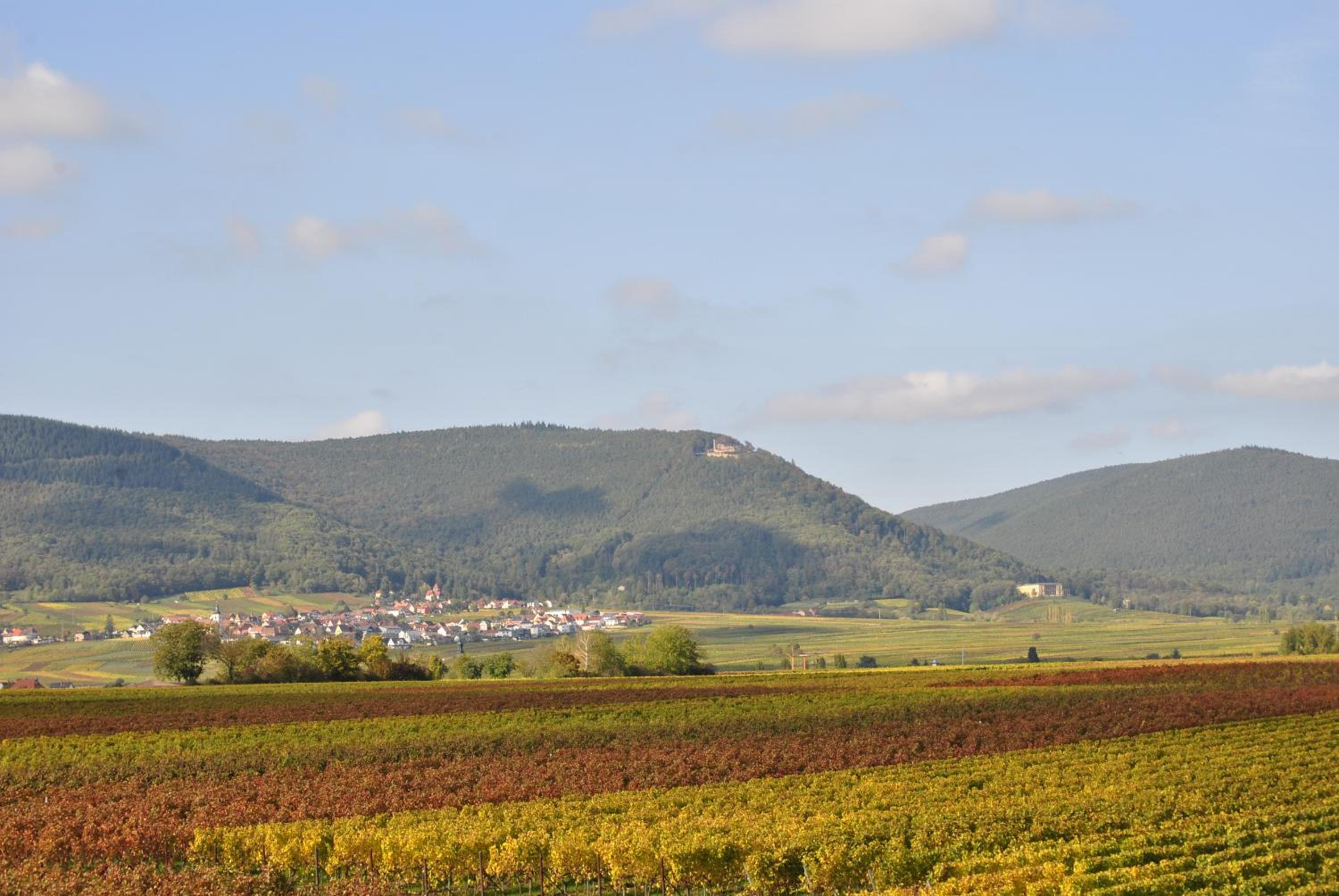 Ferienhaus Rauwolf mit 2 Ferienwohnungen view 5