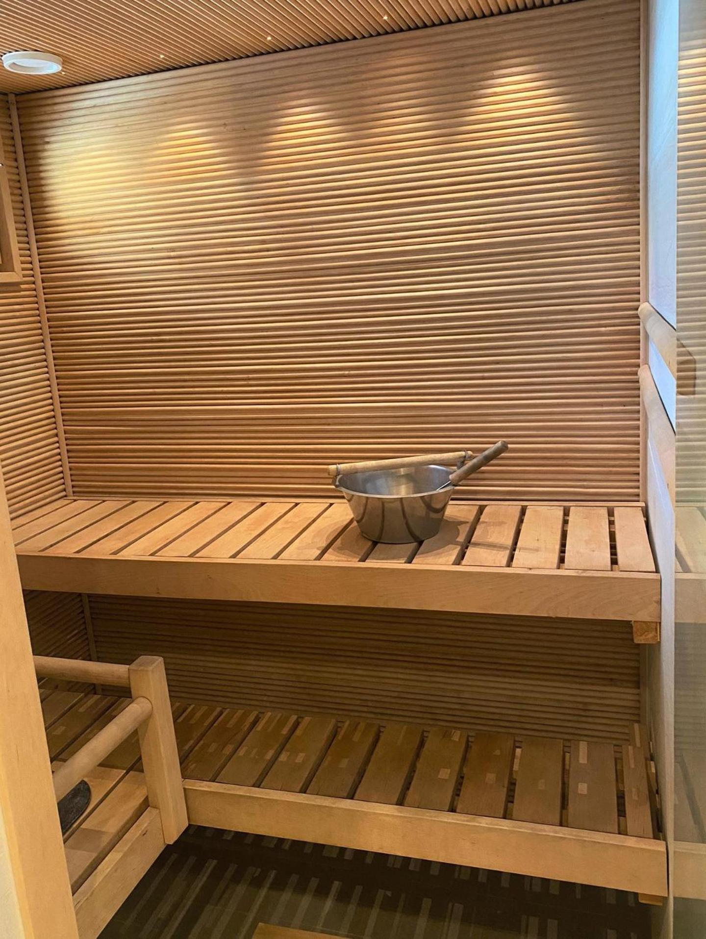 Levi Suites Levi Gold