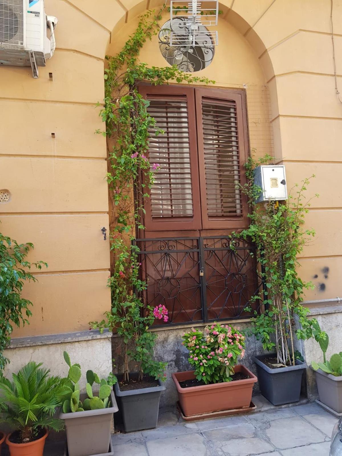 Casa Moneka en Palermo — other