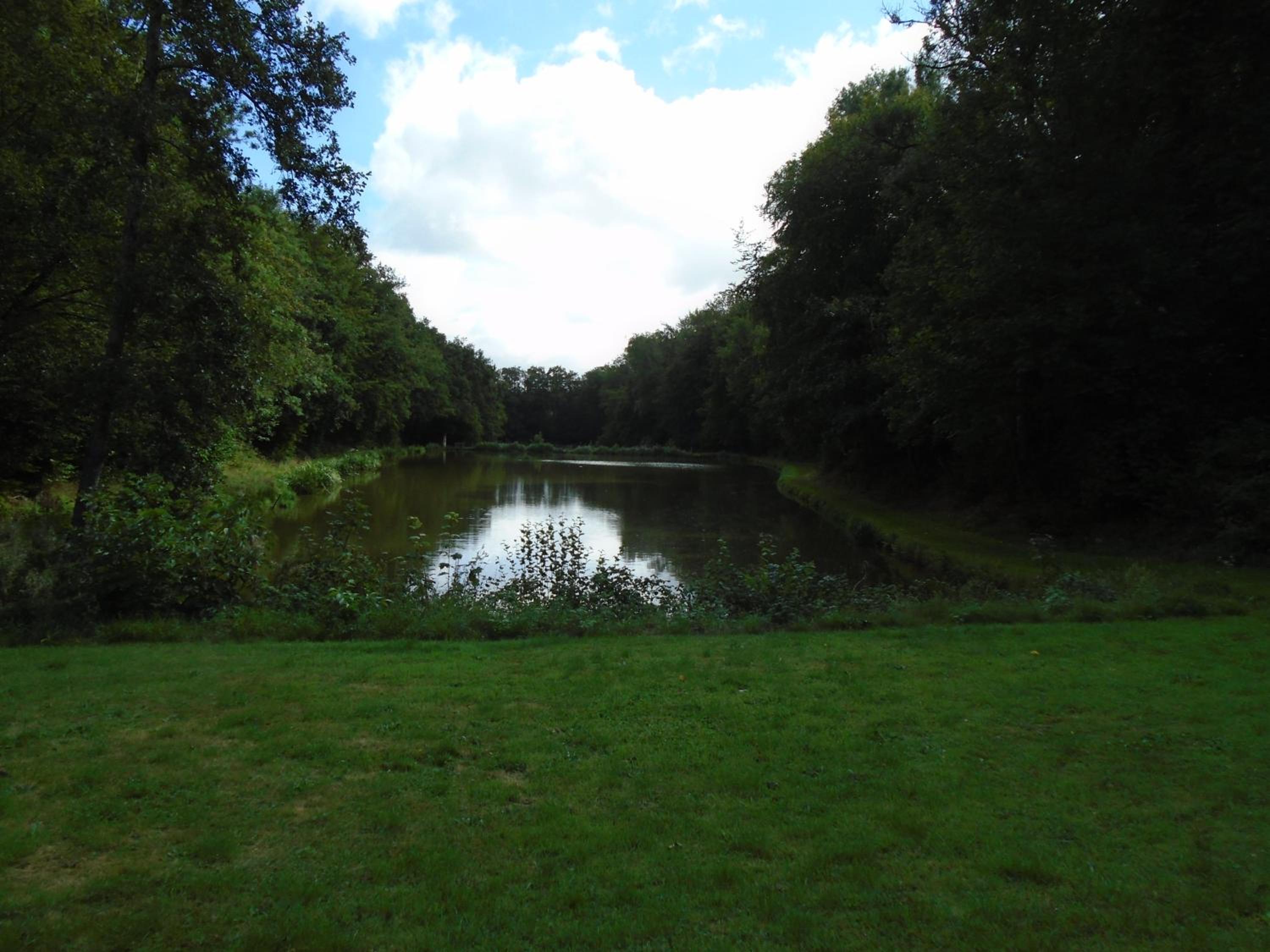 Deux étangs poissonneux au milieu des bois avec gîte moderne, la halte des deux lacs