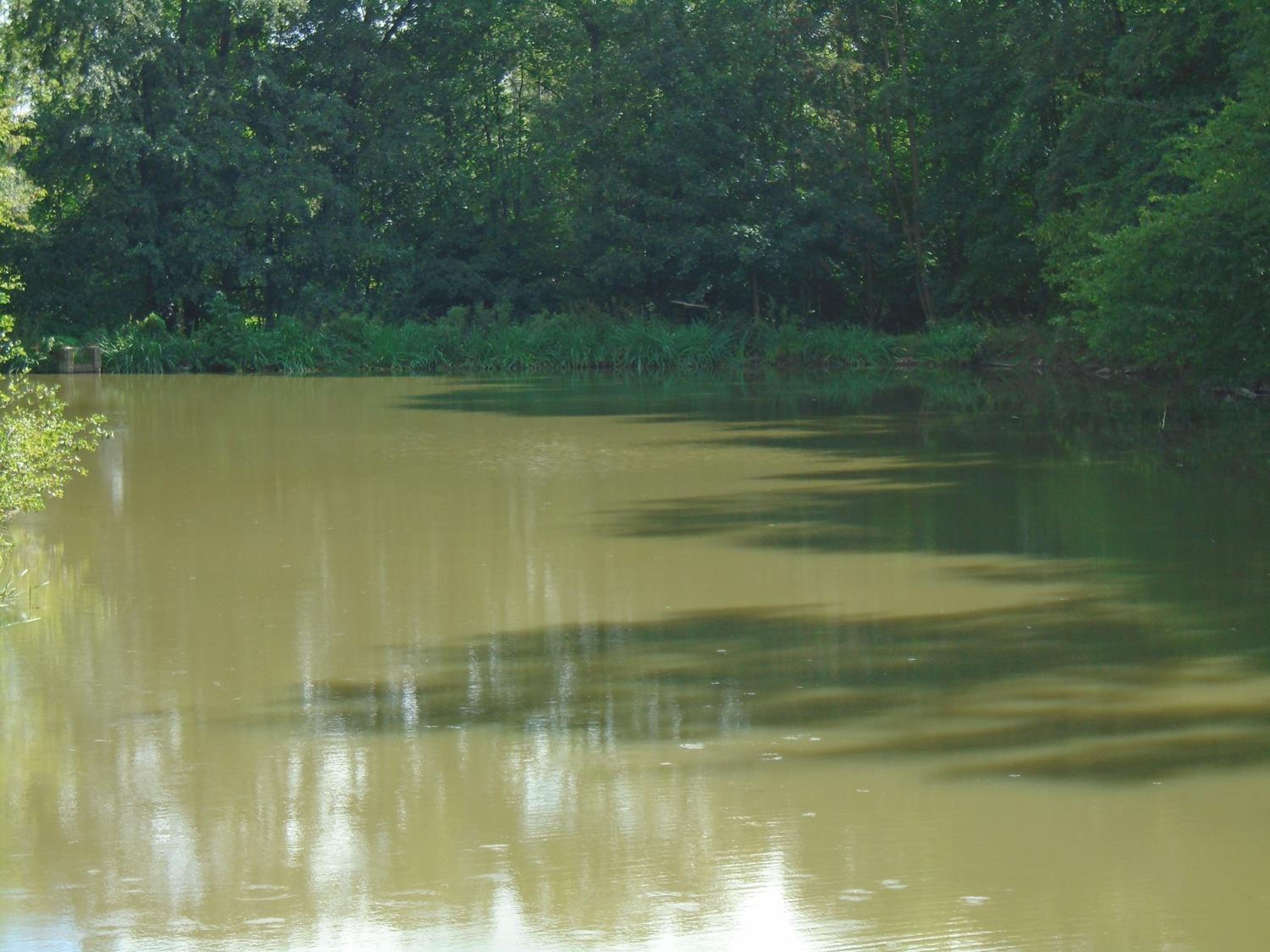 Deux étangs poissonneux au milieu des bois avec gîte moderne, la halte des deux lacs