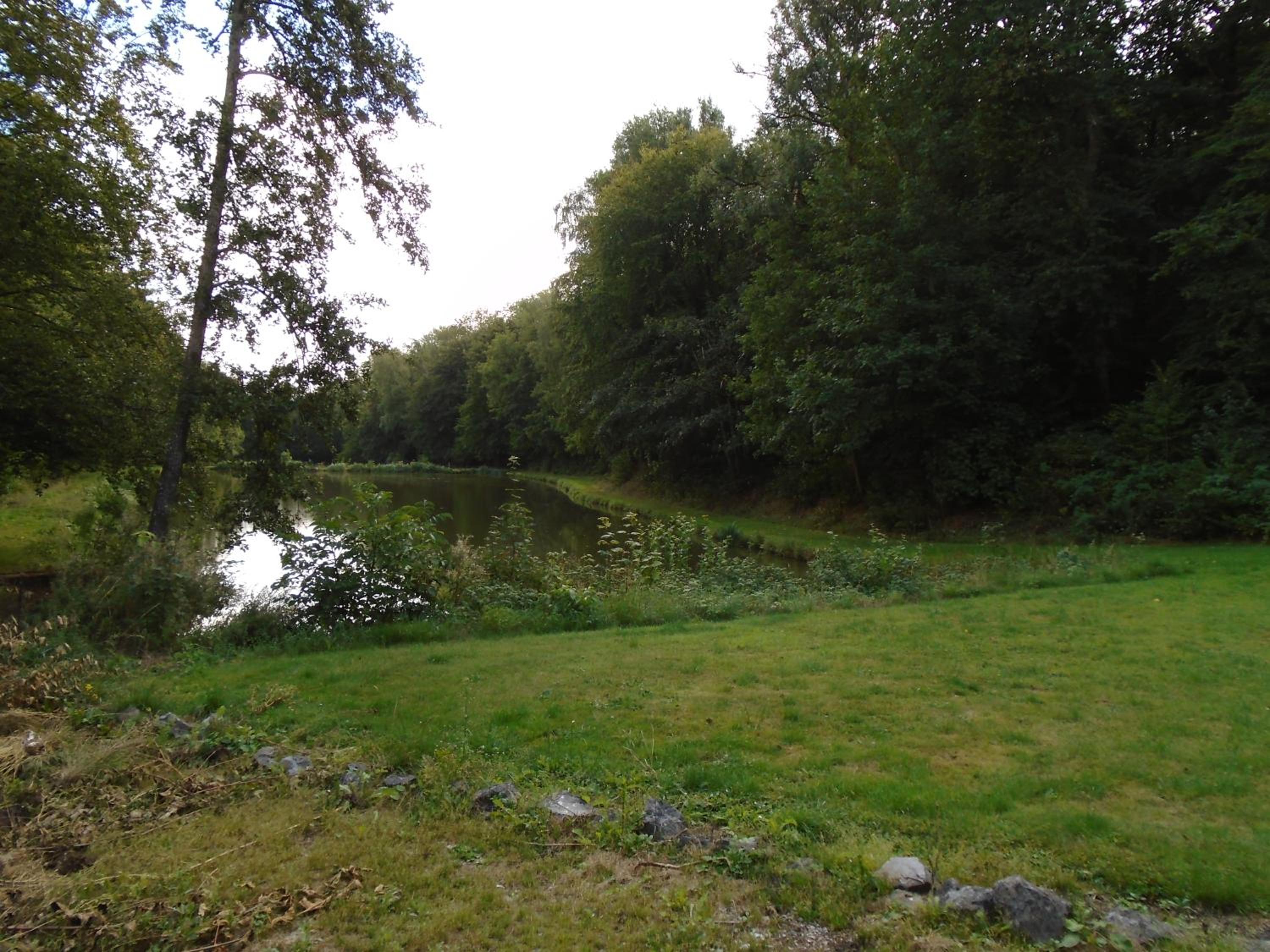 Deux étangs poissonneux au milieu des bois avec gîte moderne, la halte des deux lacs
