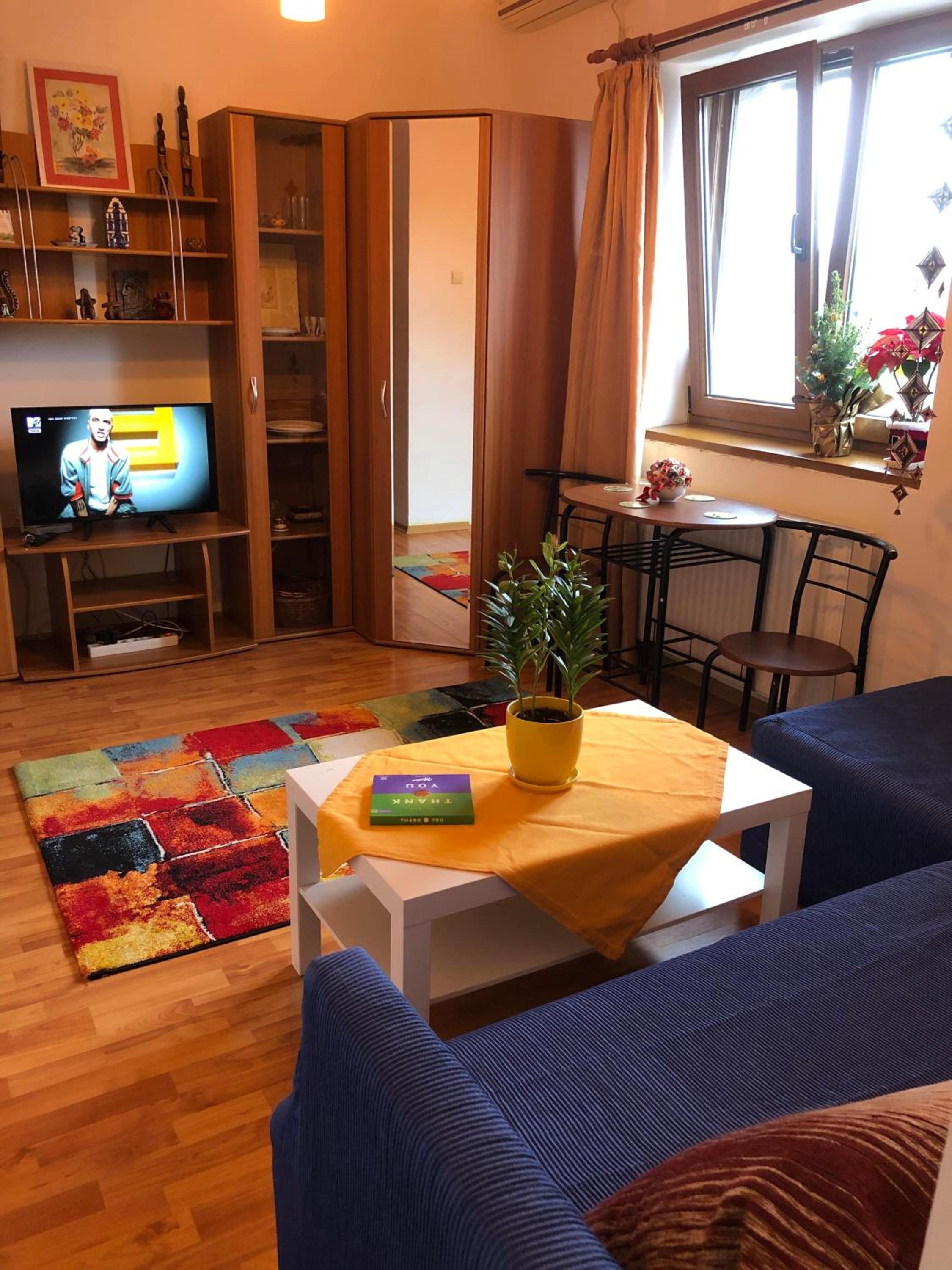 SUPER CENTRAL - Lovely one-bedroom apartment on Victoriei Avenue view 3