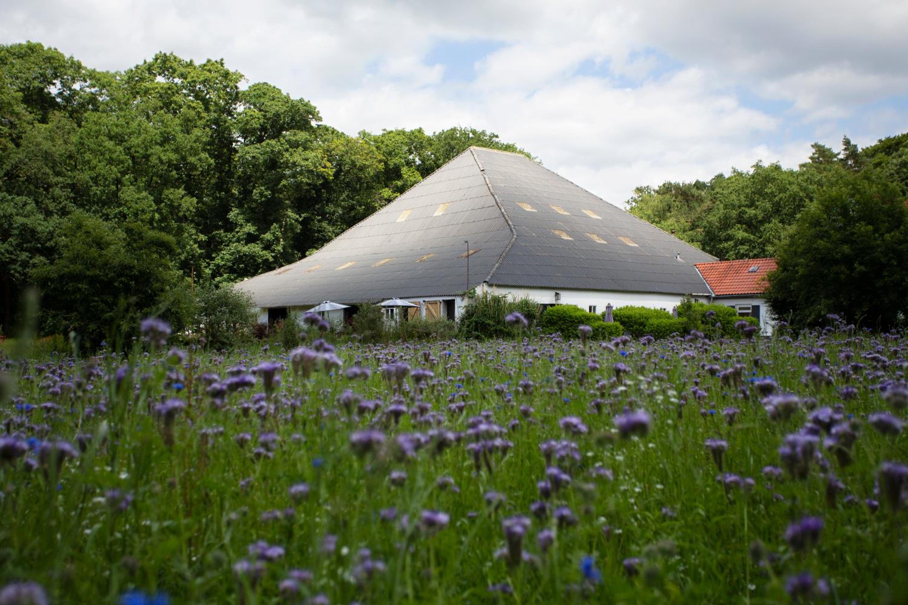 Hotel Adelaerthoeve Logies & Ontbijt - Image 1