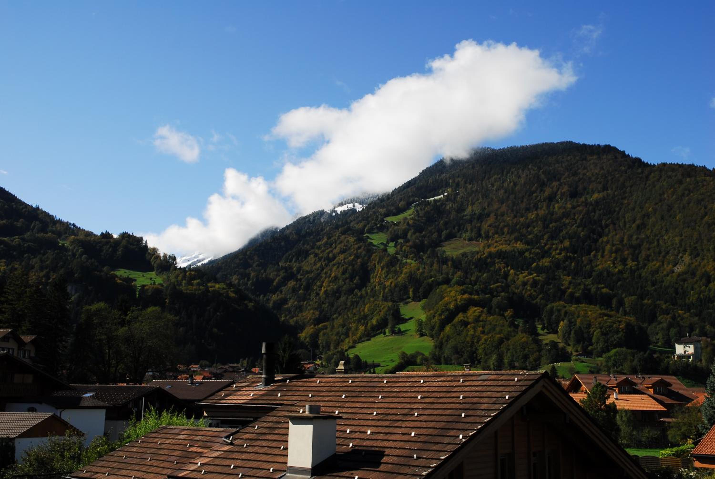 Ferienwohnung Interlaken/Wilderswil