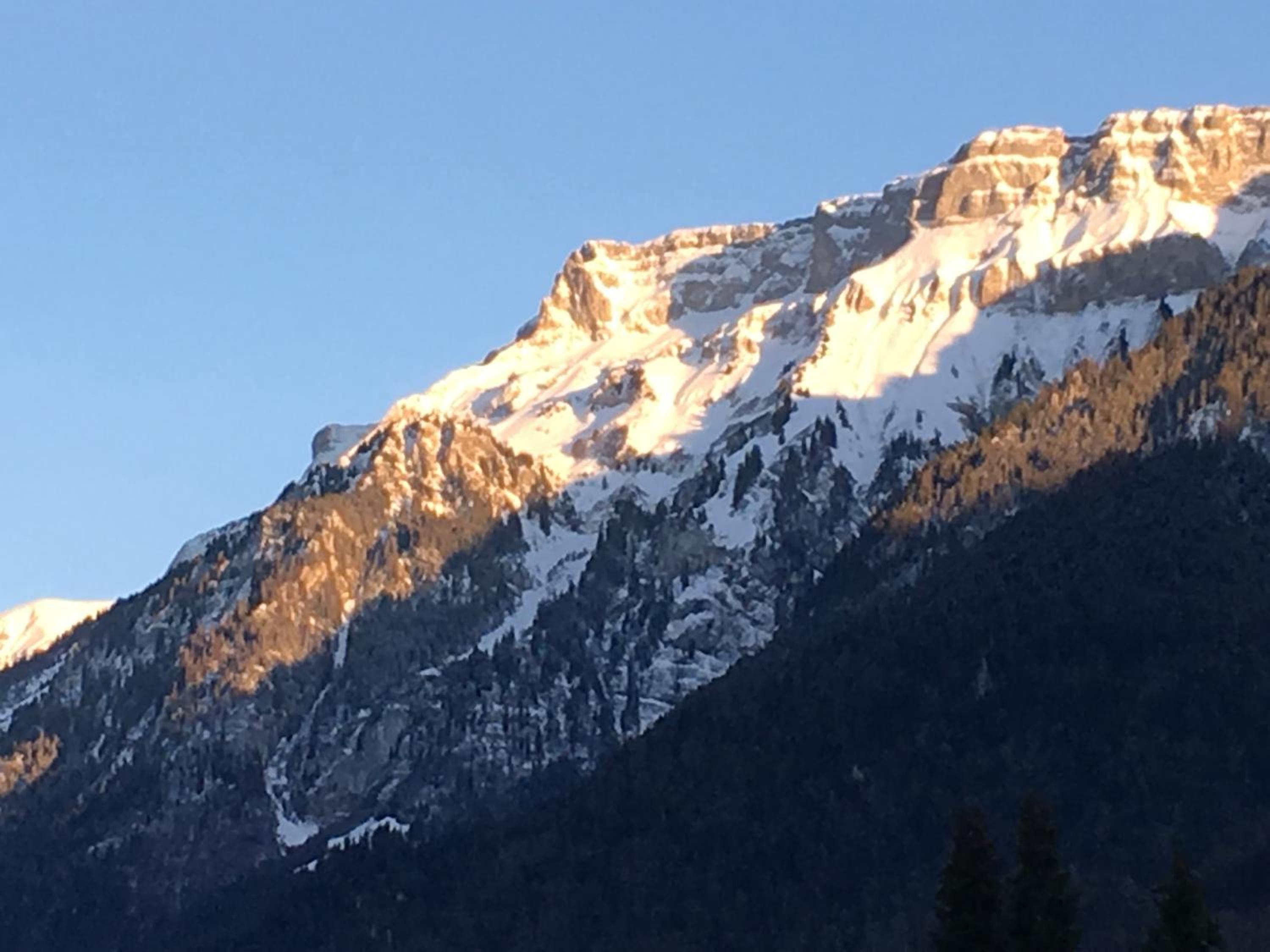 Ferienwohnung Interlaken/Wilderswil