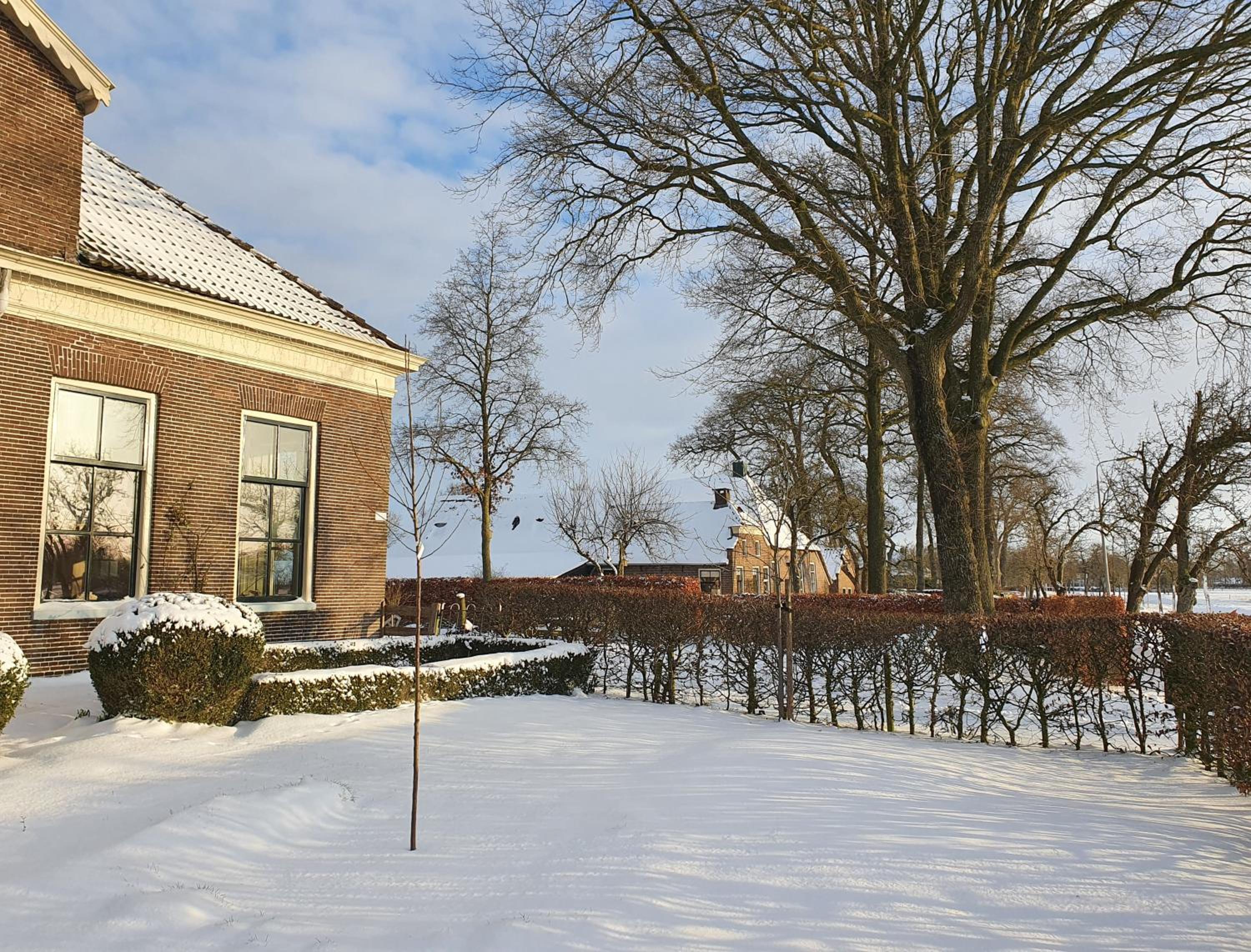 Photo 21