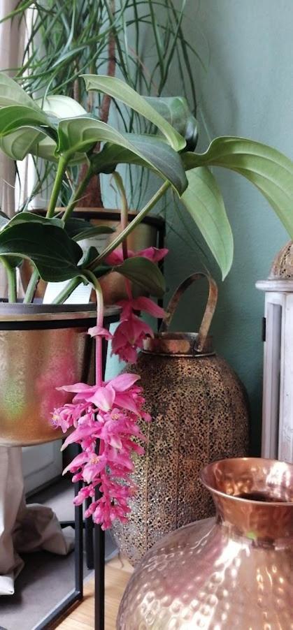 Boutique B&B and Wellness la Casa dei 5 Elementi