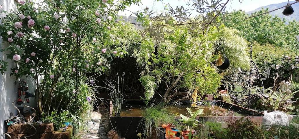 Boutique B&B and Wellness la Casa dei 5 Elementi