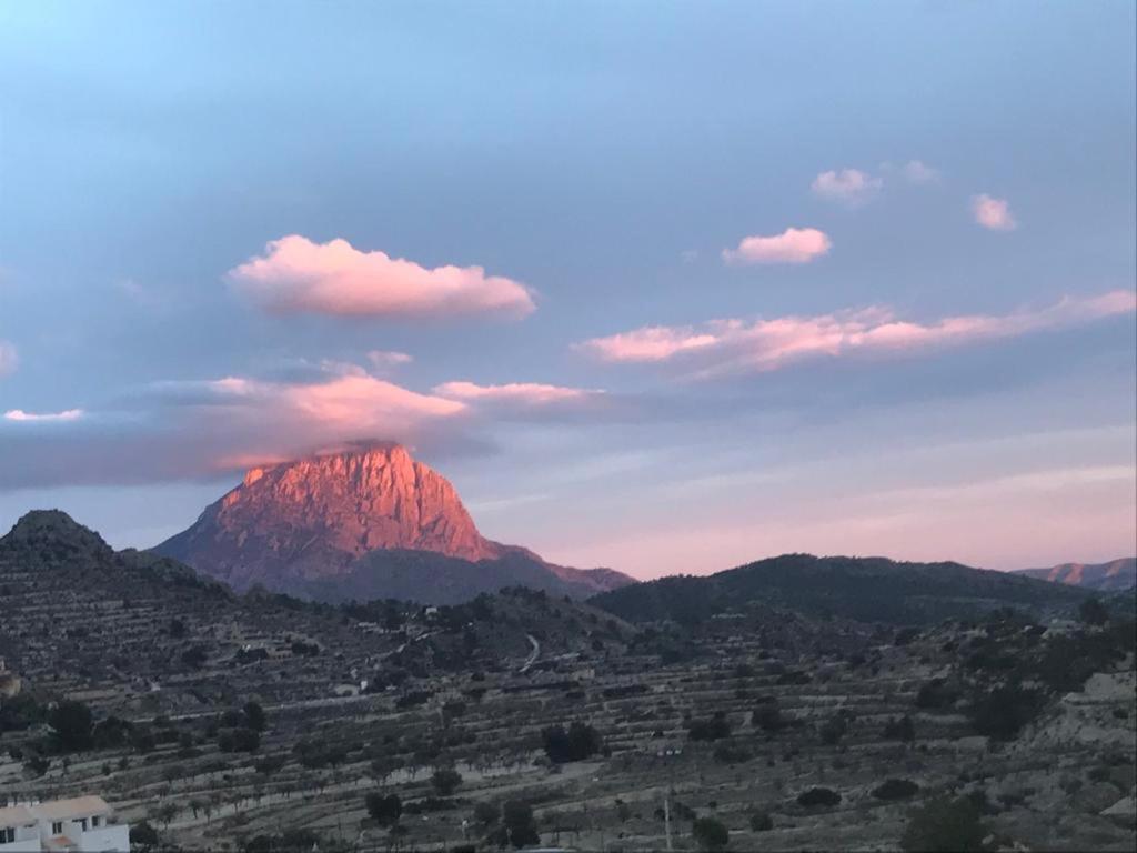 Dos Senoras Gordas