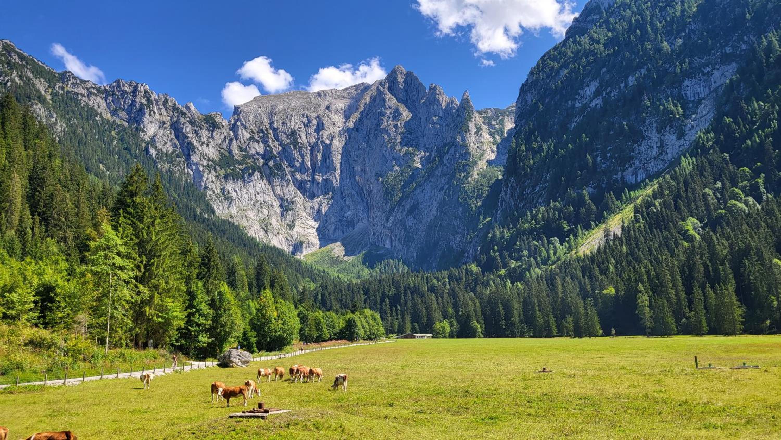 4 Bergpanorama mit herrlicher alpinen Almlandschaft für absolute Nichtraucher