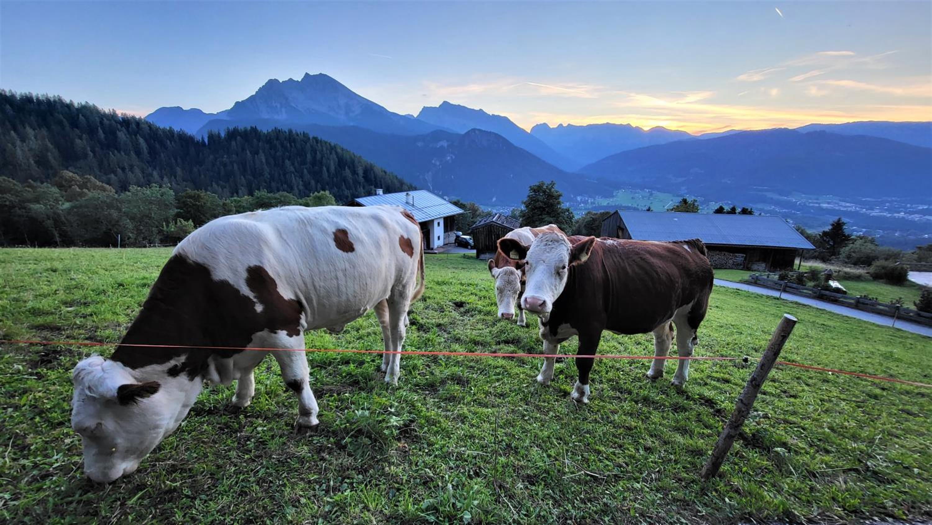 4 Bergpanorama mit herrlicher alpinen Almlandschaft für absolute Nichtraucher