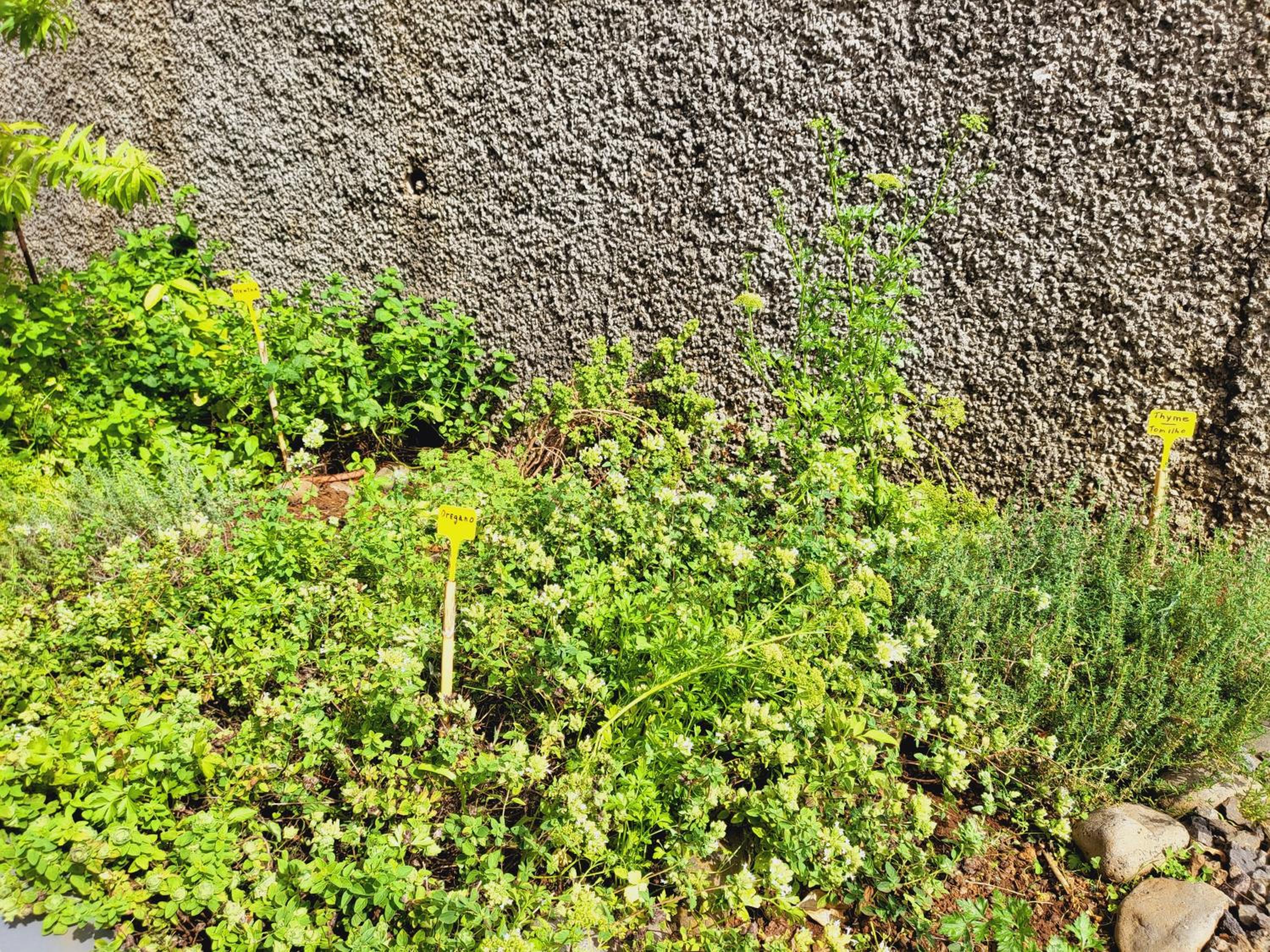Photo 40