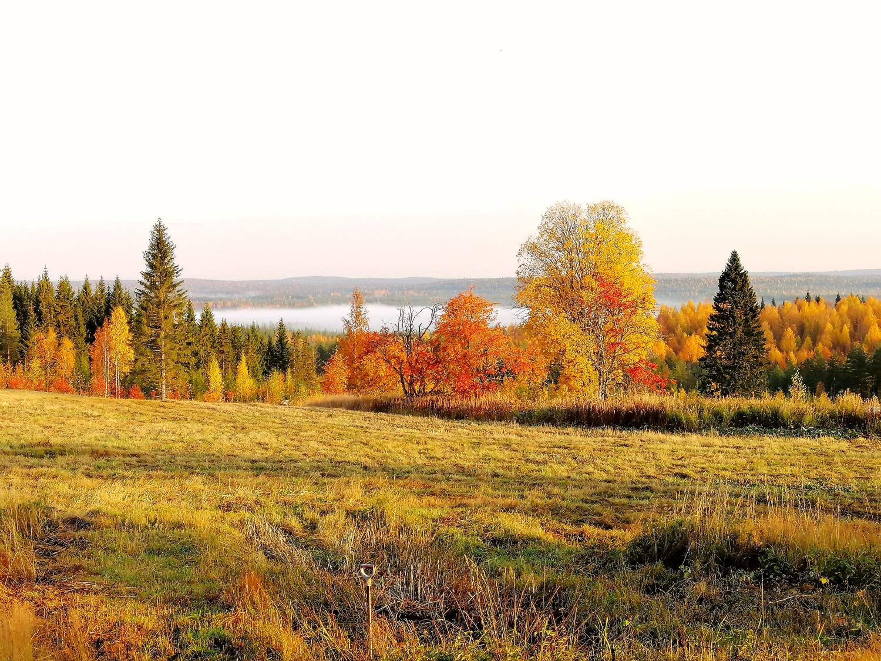 Yläpihan Tila view 3