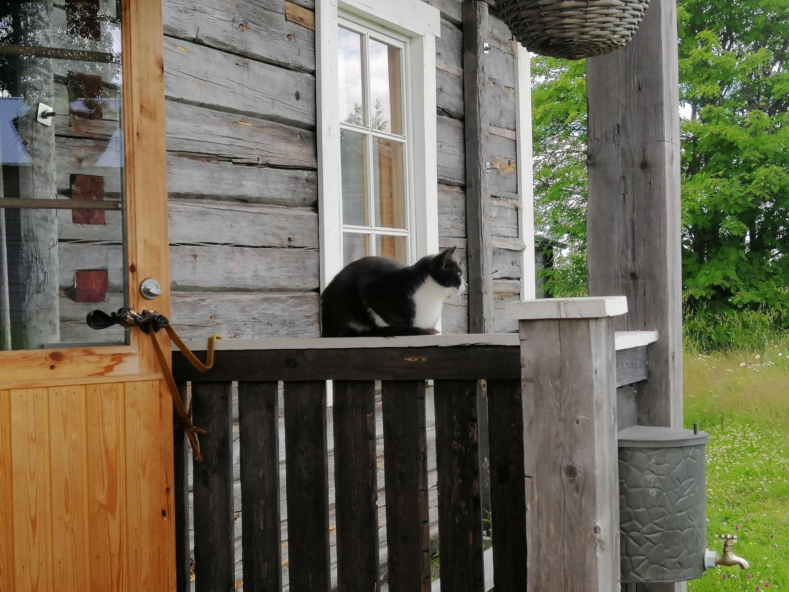 Photo 22