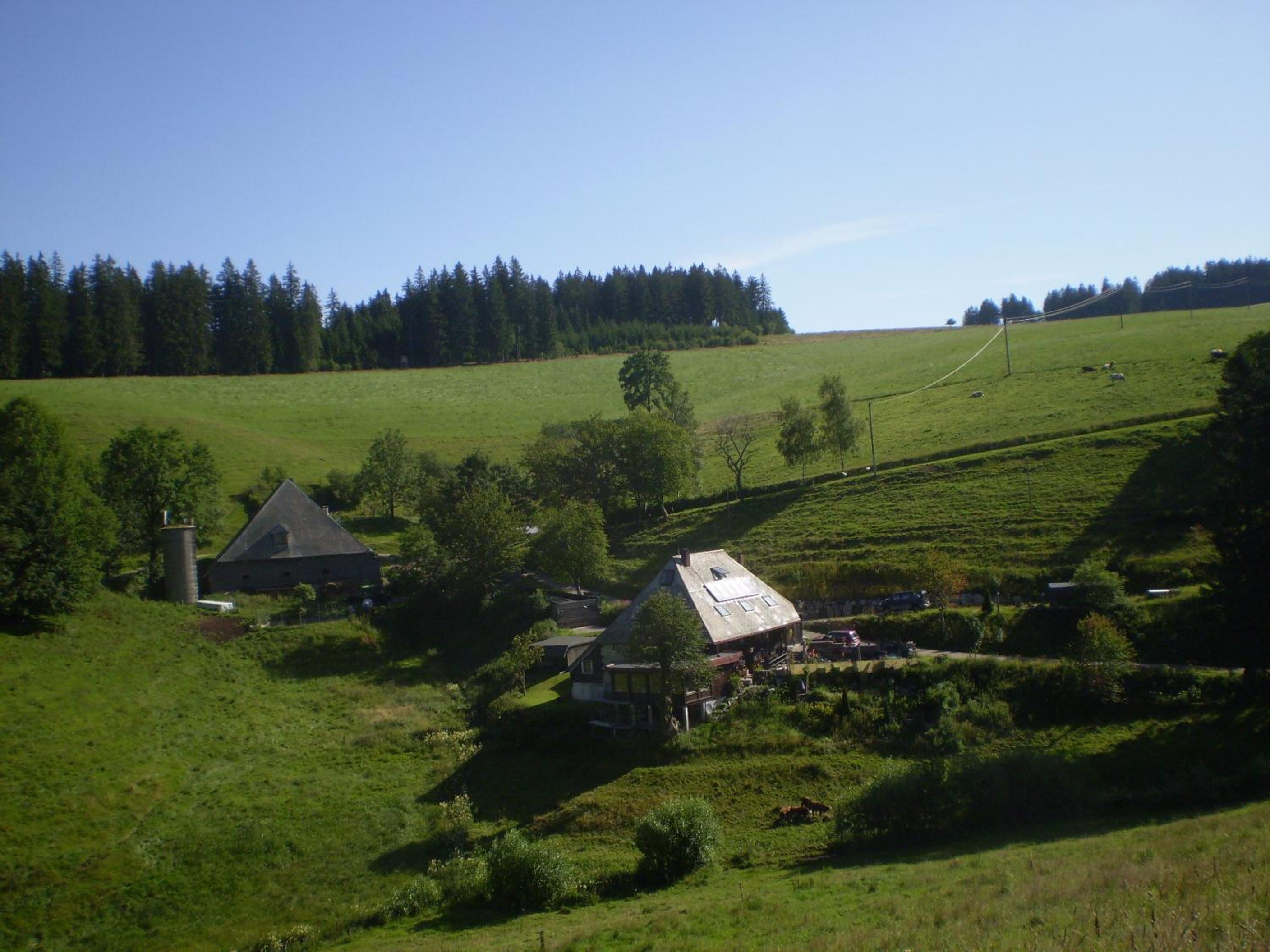 Photo 13