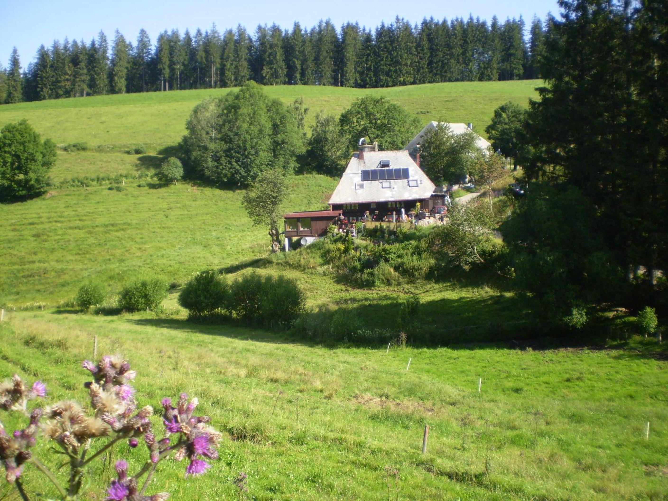 Photo 14