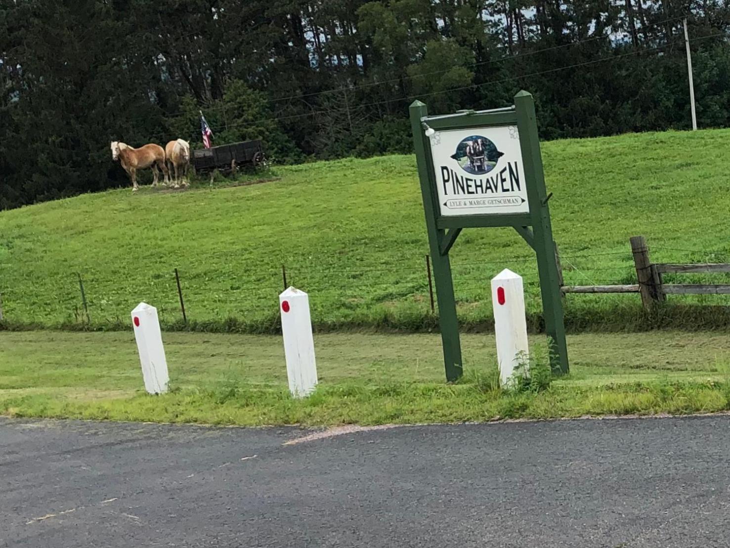Pinehaven Country Inn view 5