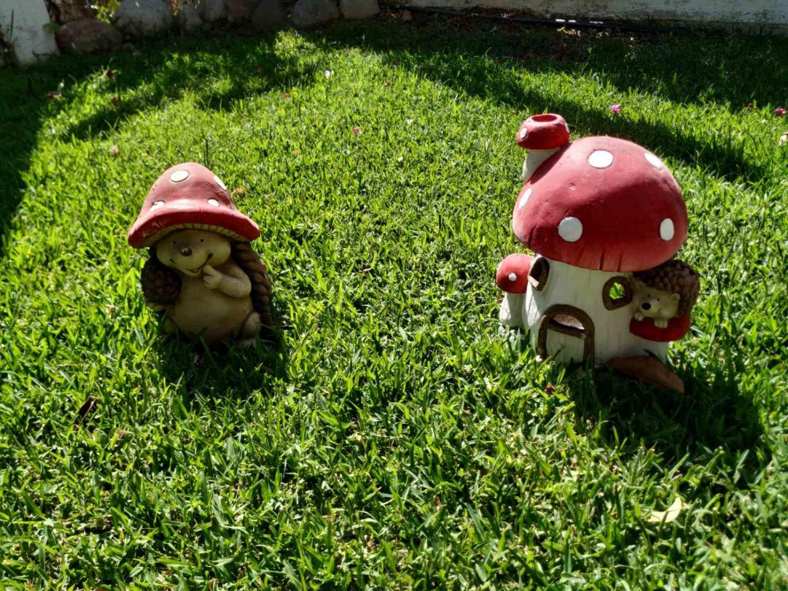 Photo 31