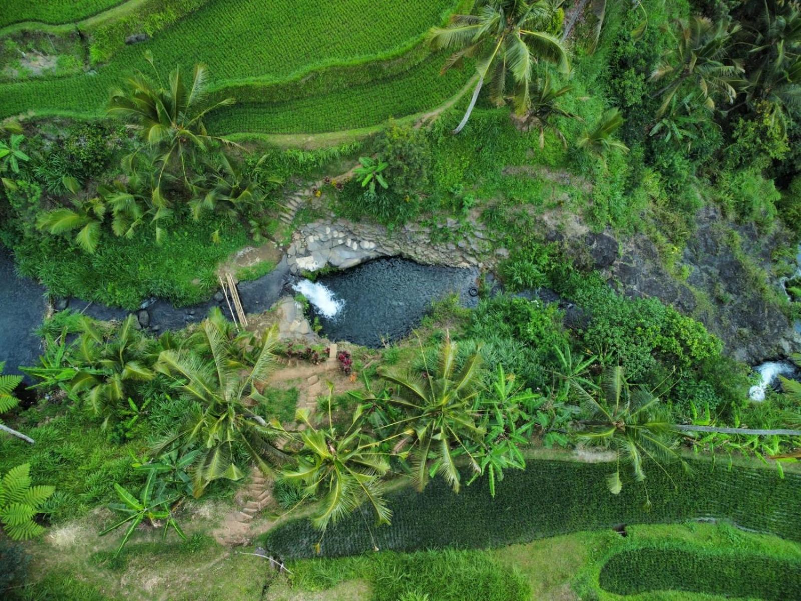Friendly Homestay Lemukih
