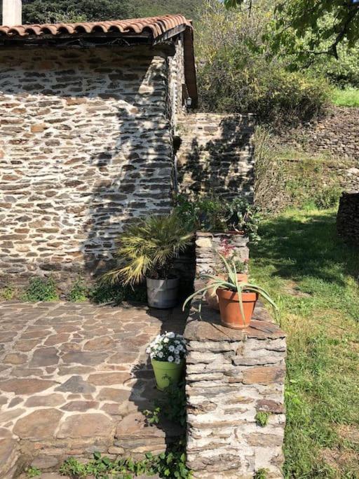 Maison rurale au cœur des Cévennes Ardéchoises