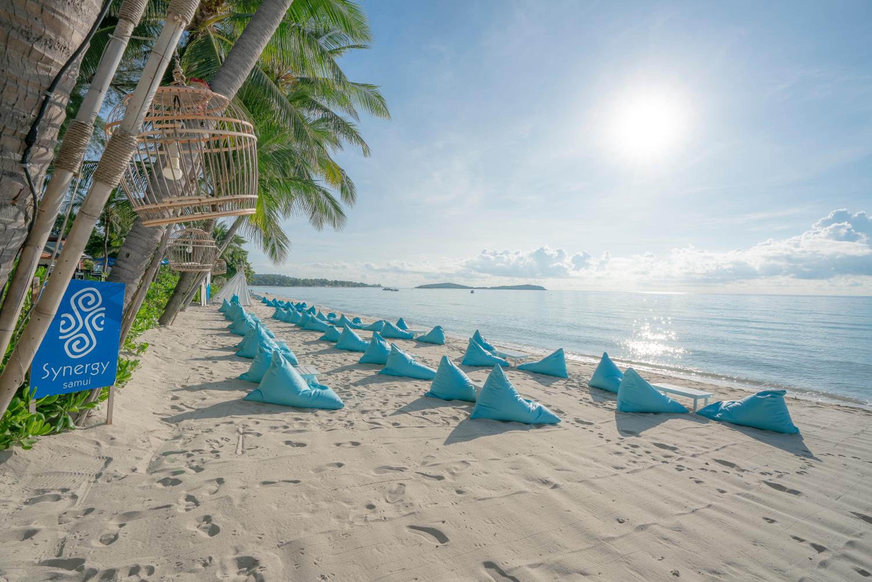 Synergy Samui