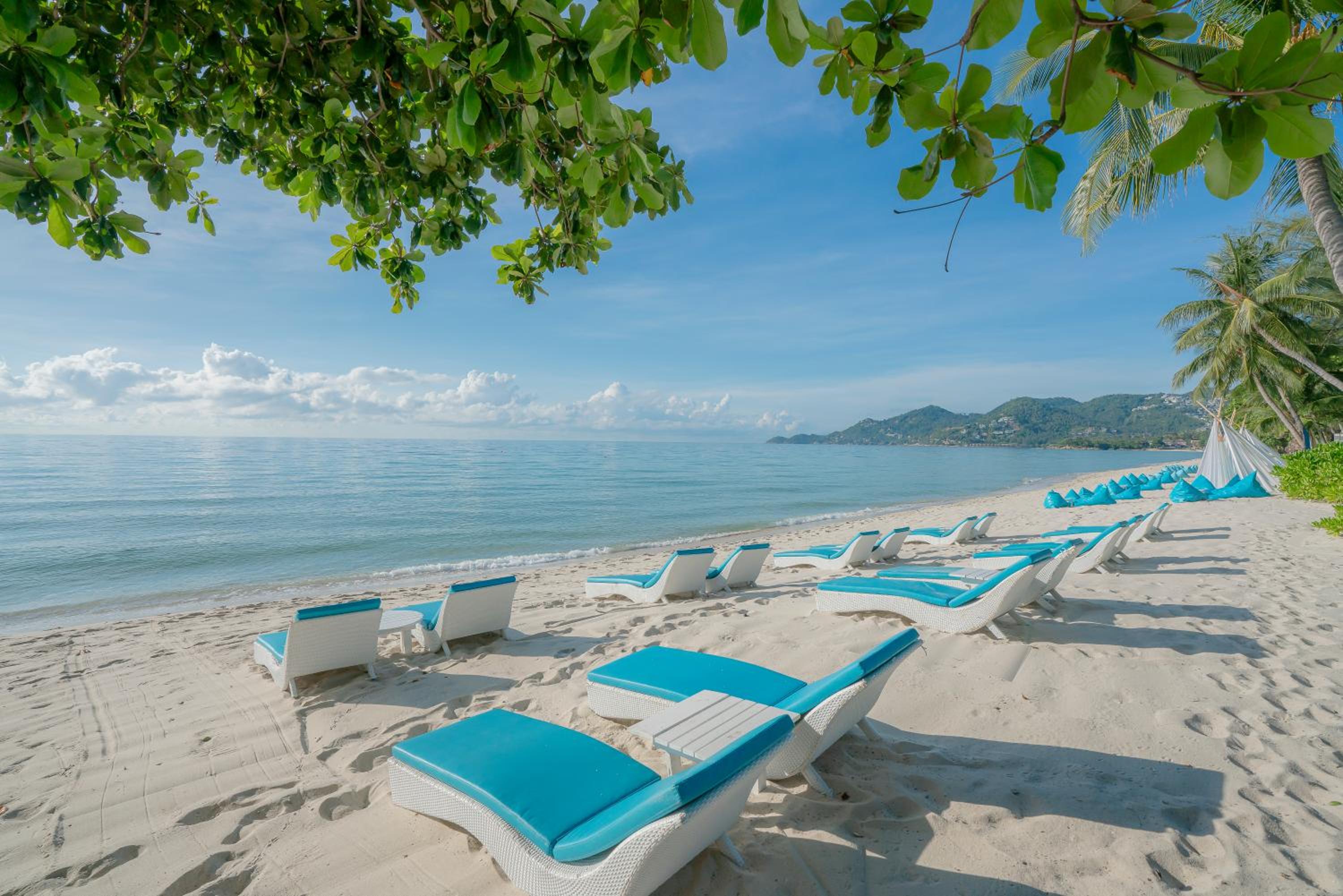 Synergy Samui