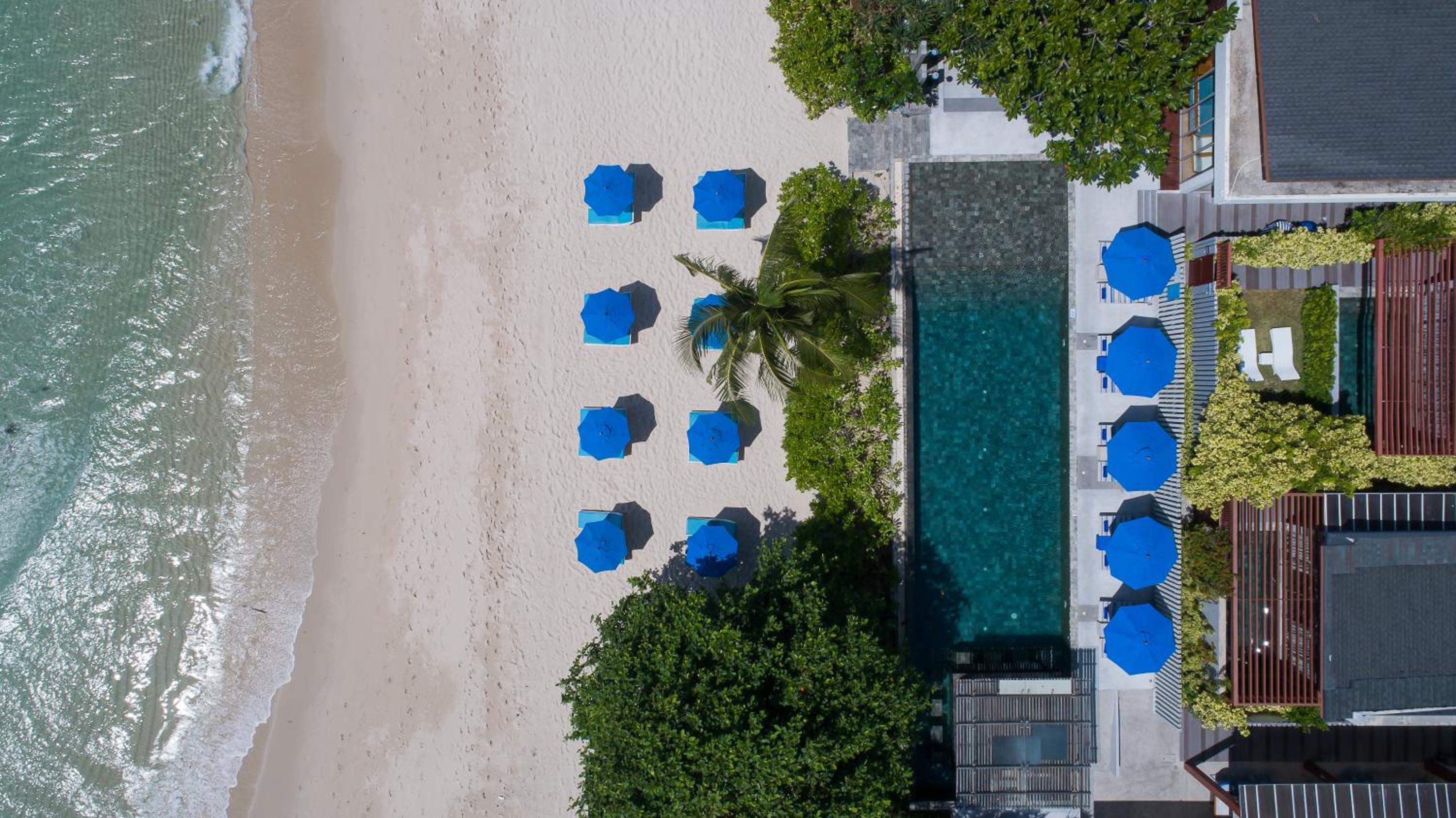 Synergy Samui