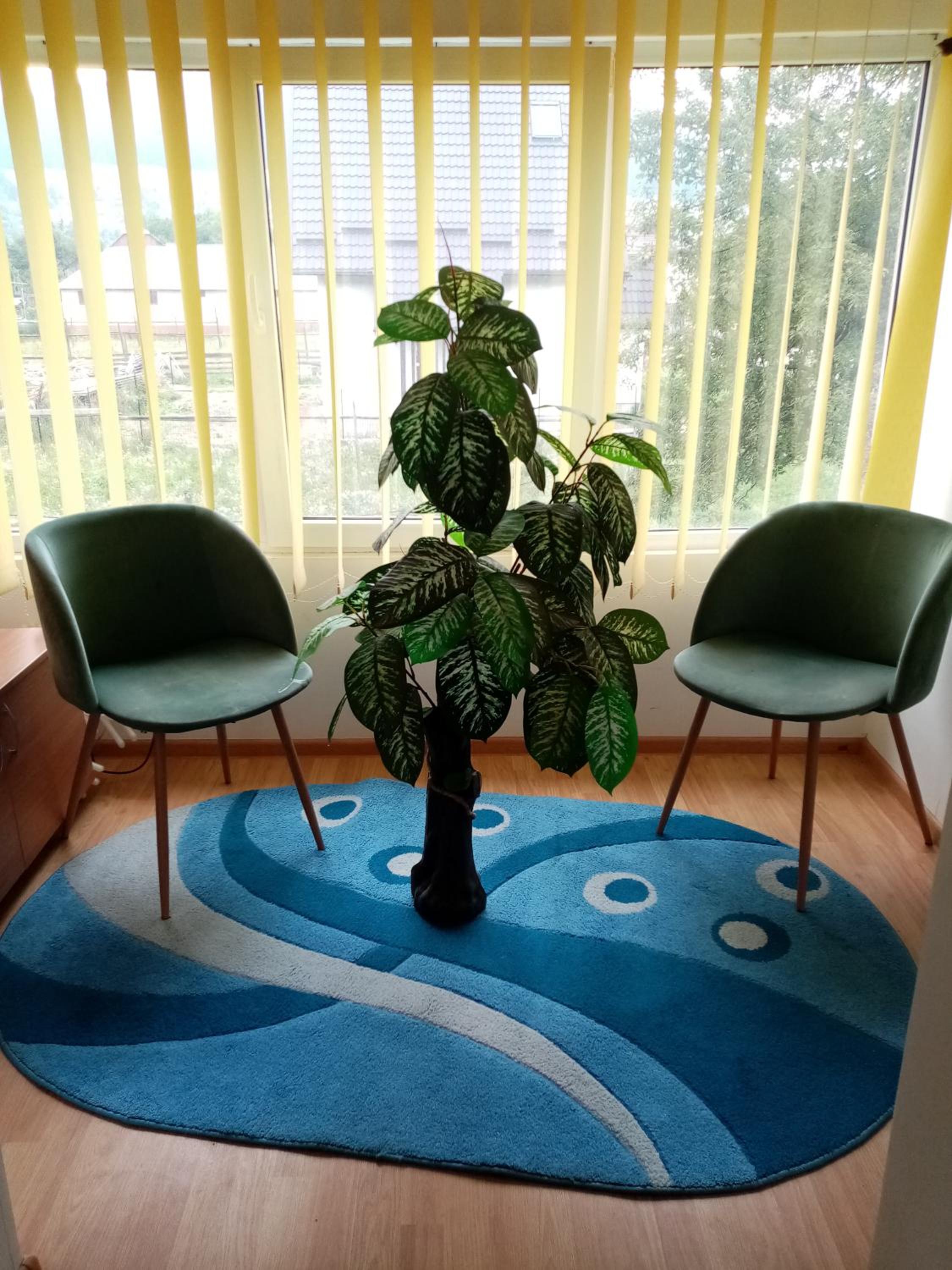 Casa Cristian view 4