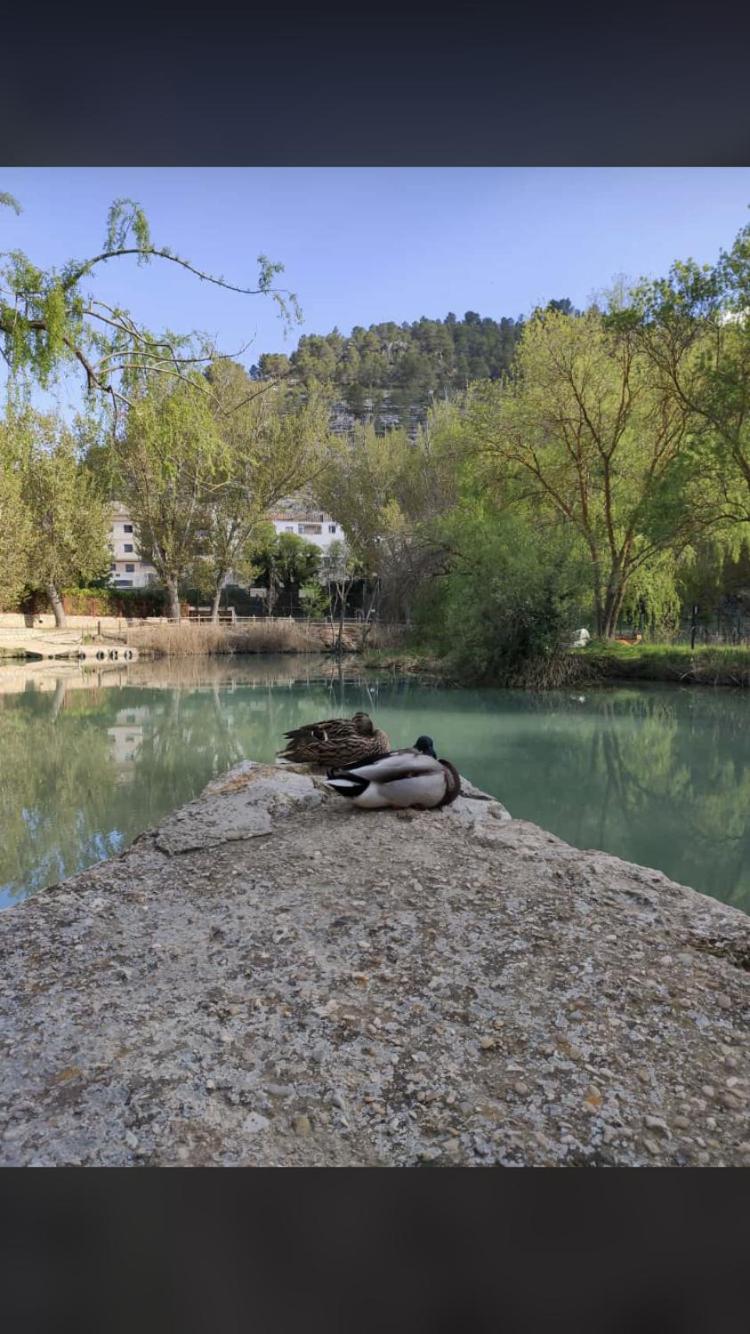 Casas Rurales Sagasta