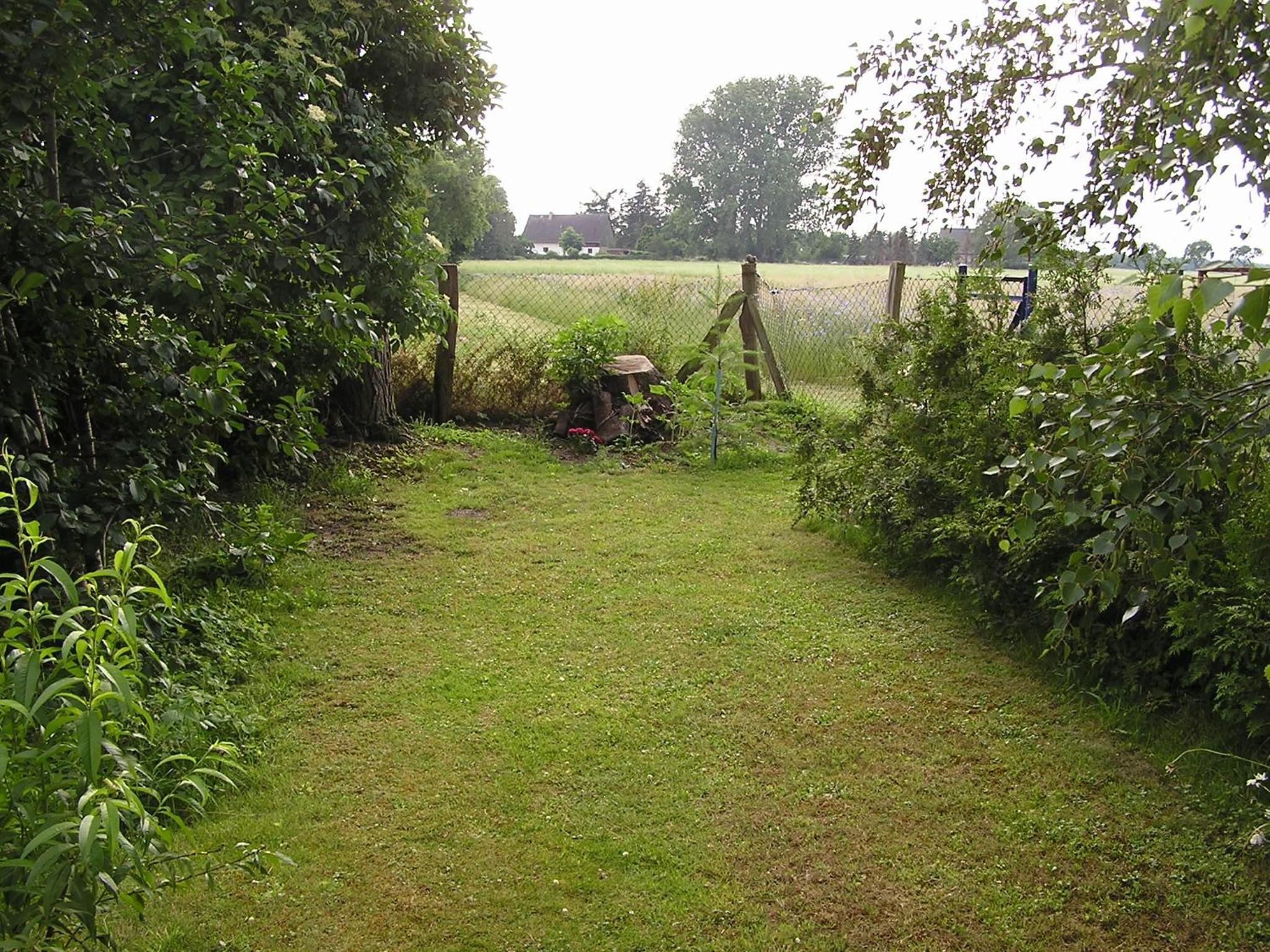 Photo 73