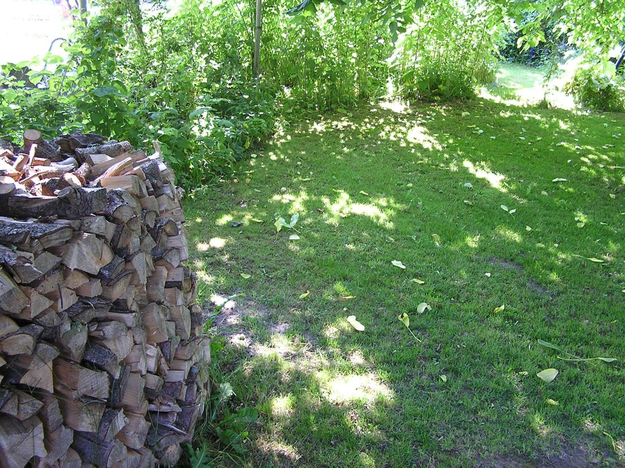 Photo 85