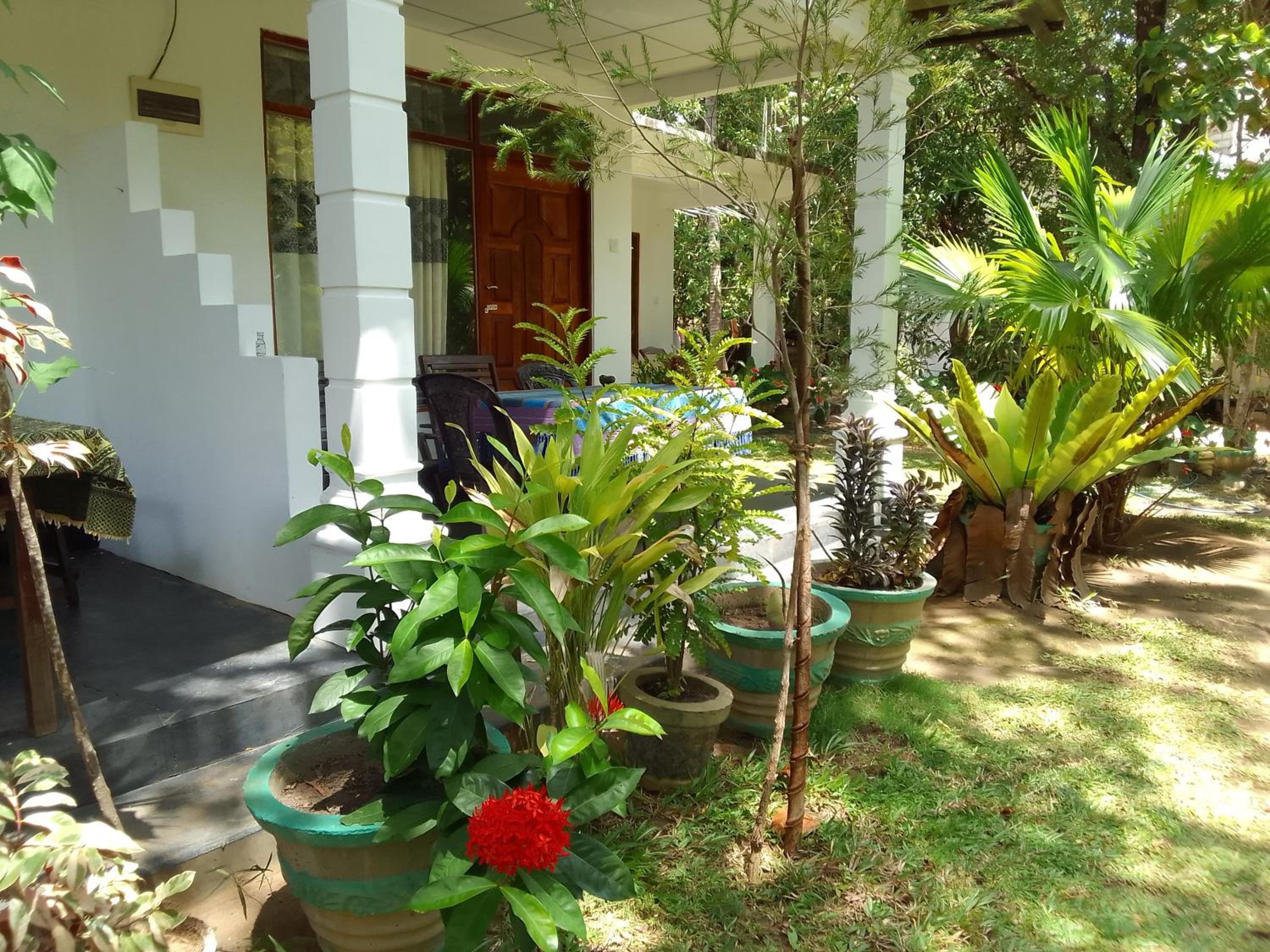 Freedom Home Stay view 2