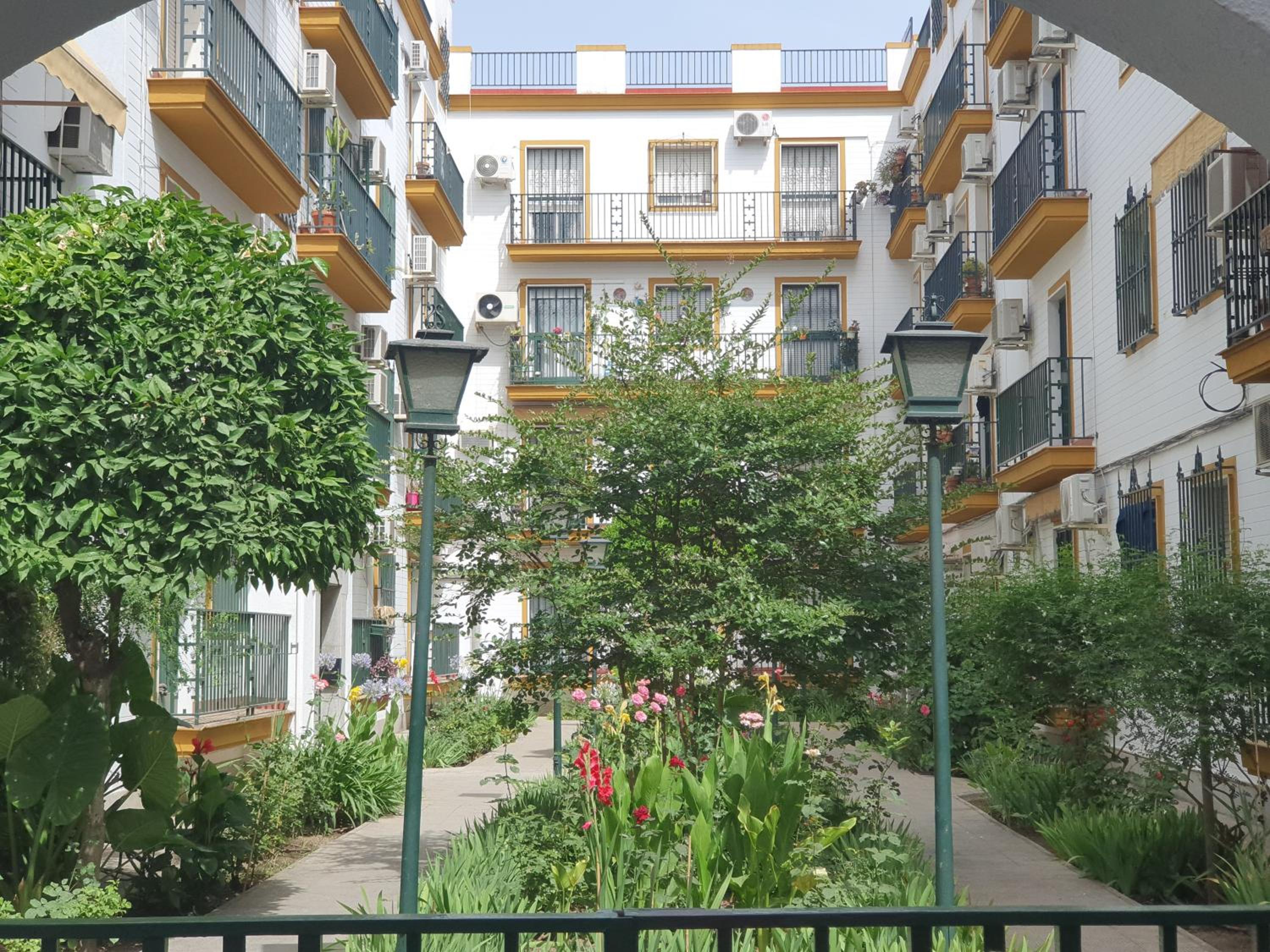NOOL Sevilla view 3