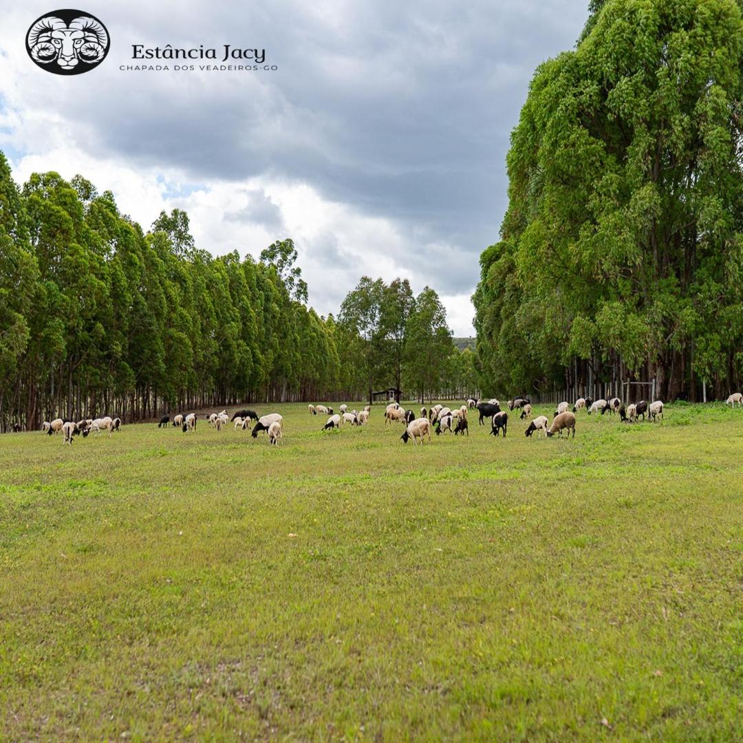 Estancia Jacy