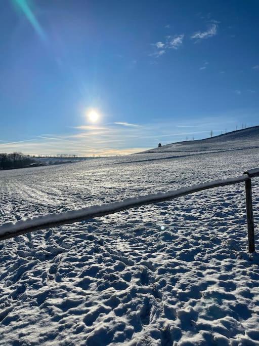 Franzis Feriendomizil im Herzgebirge am Skihang