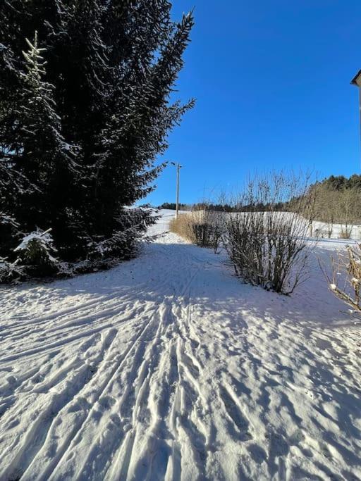 Franzis Feriendomizil im Herzgebirge am Skihang