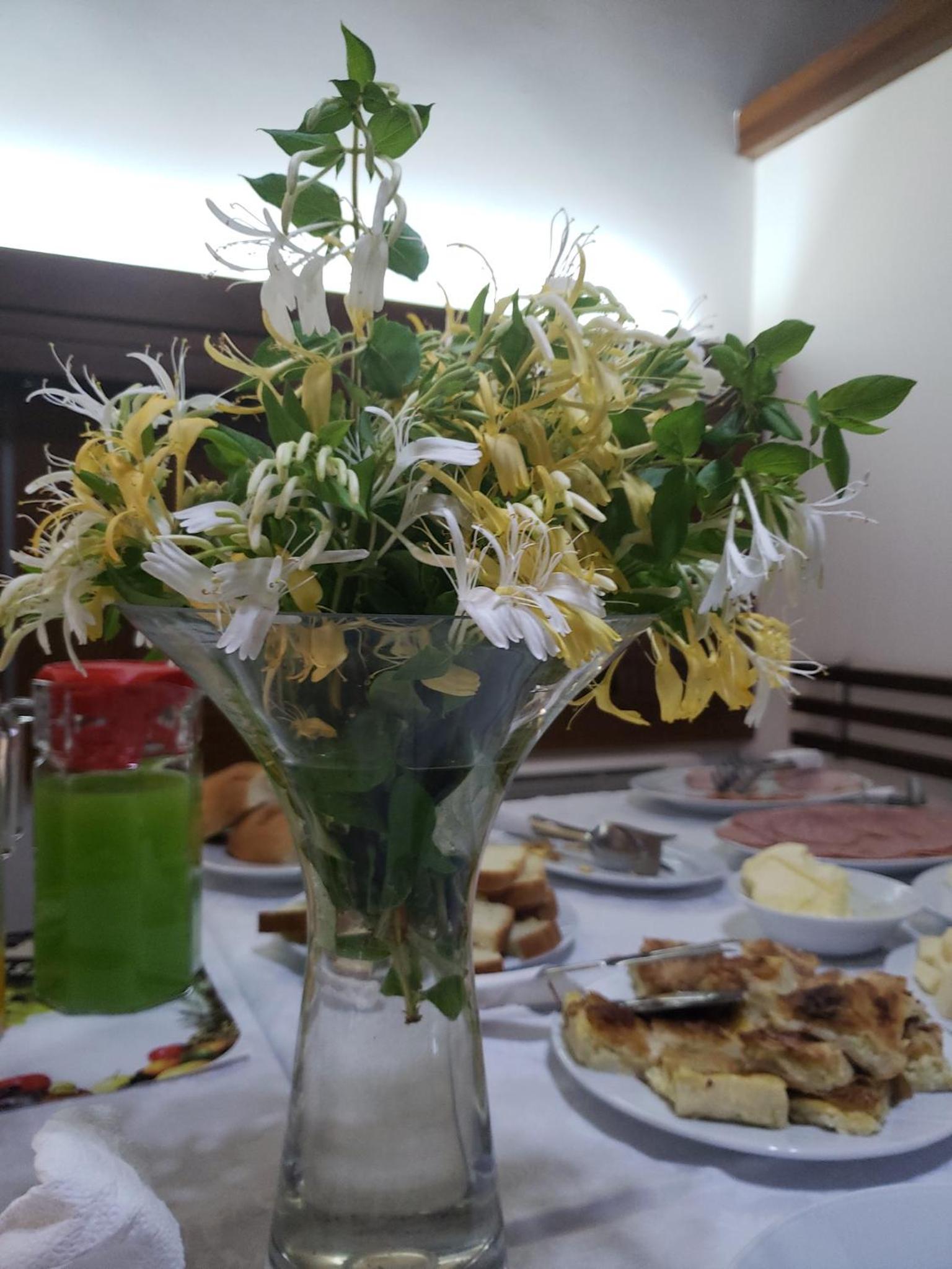 Hotel Antipatrea