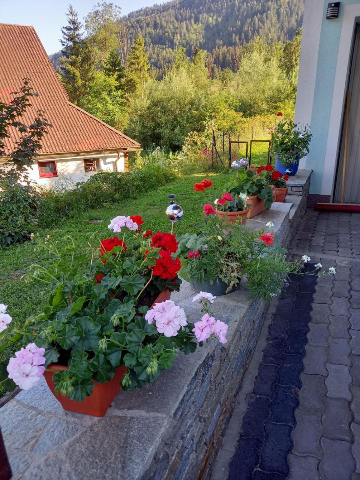 Photo 37