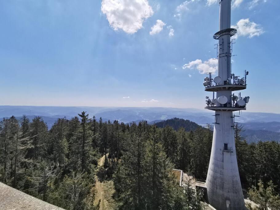 Traumhafte Maisonette-Wohnung im Schwarzwald
