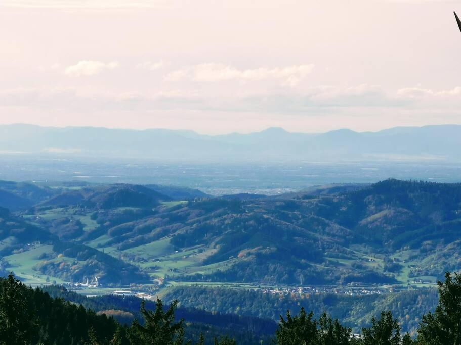 Traumhafte Maisonette-Wohnung im Schwarzwald