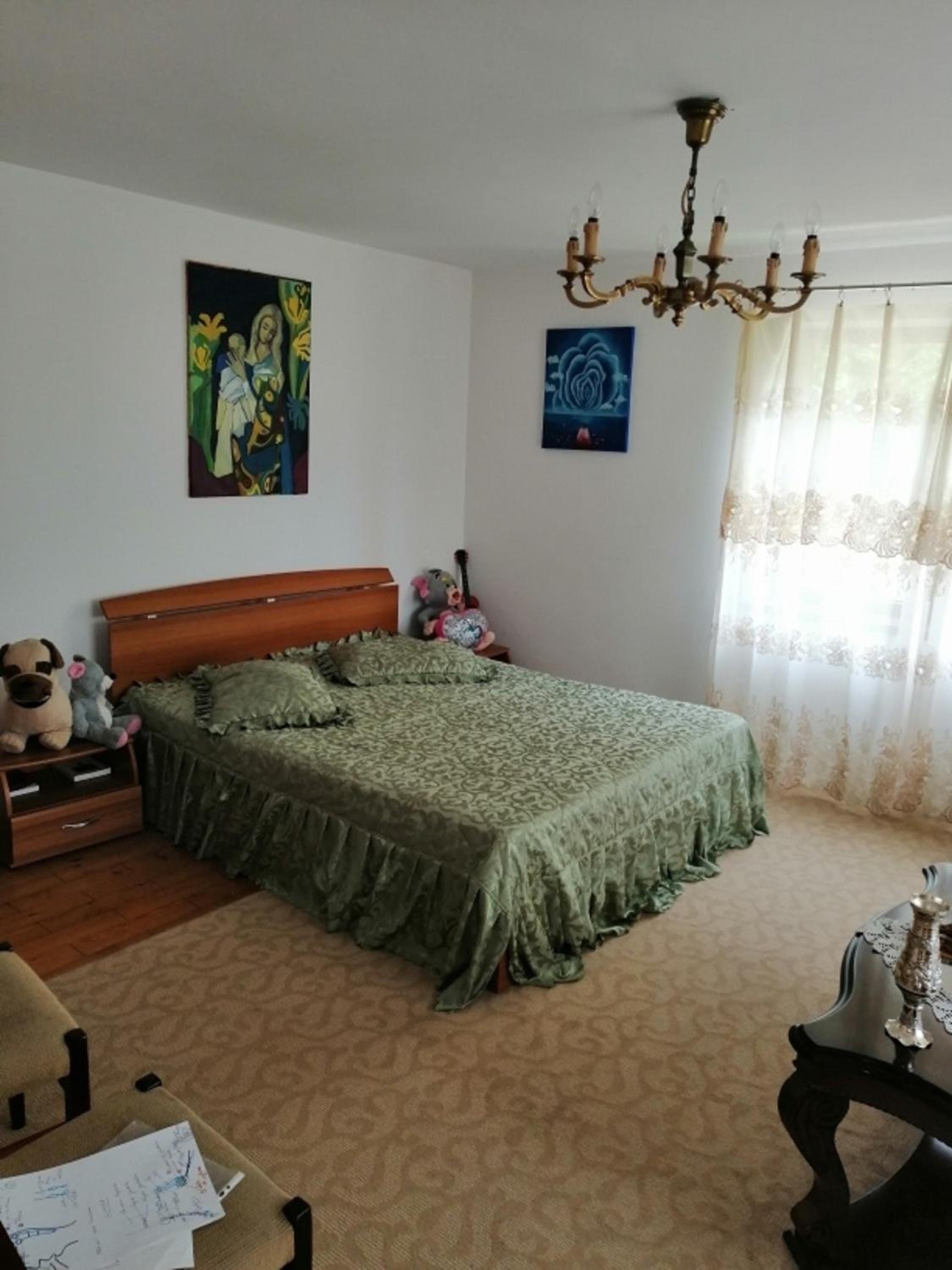Casa Ilea -Agapia view 3