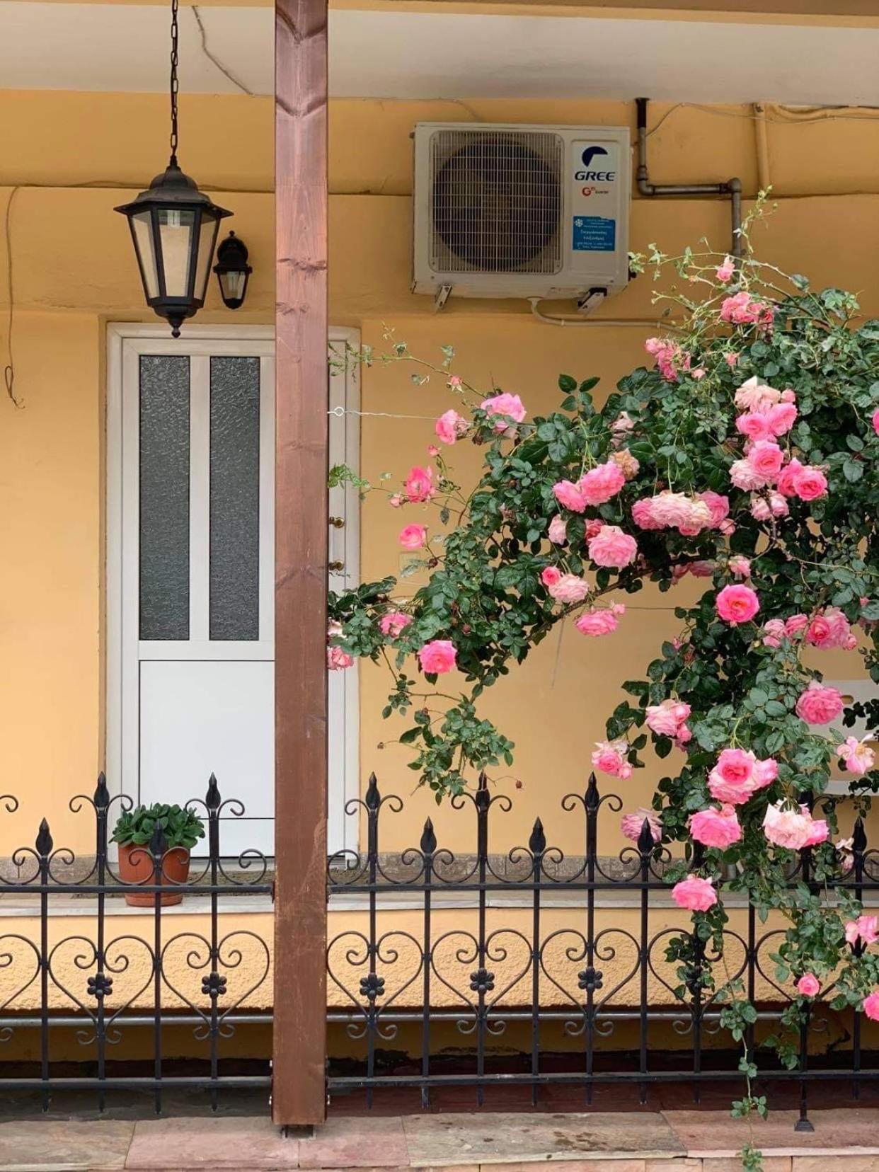 Anna’s house