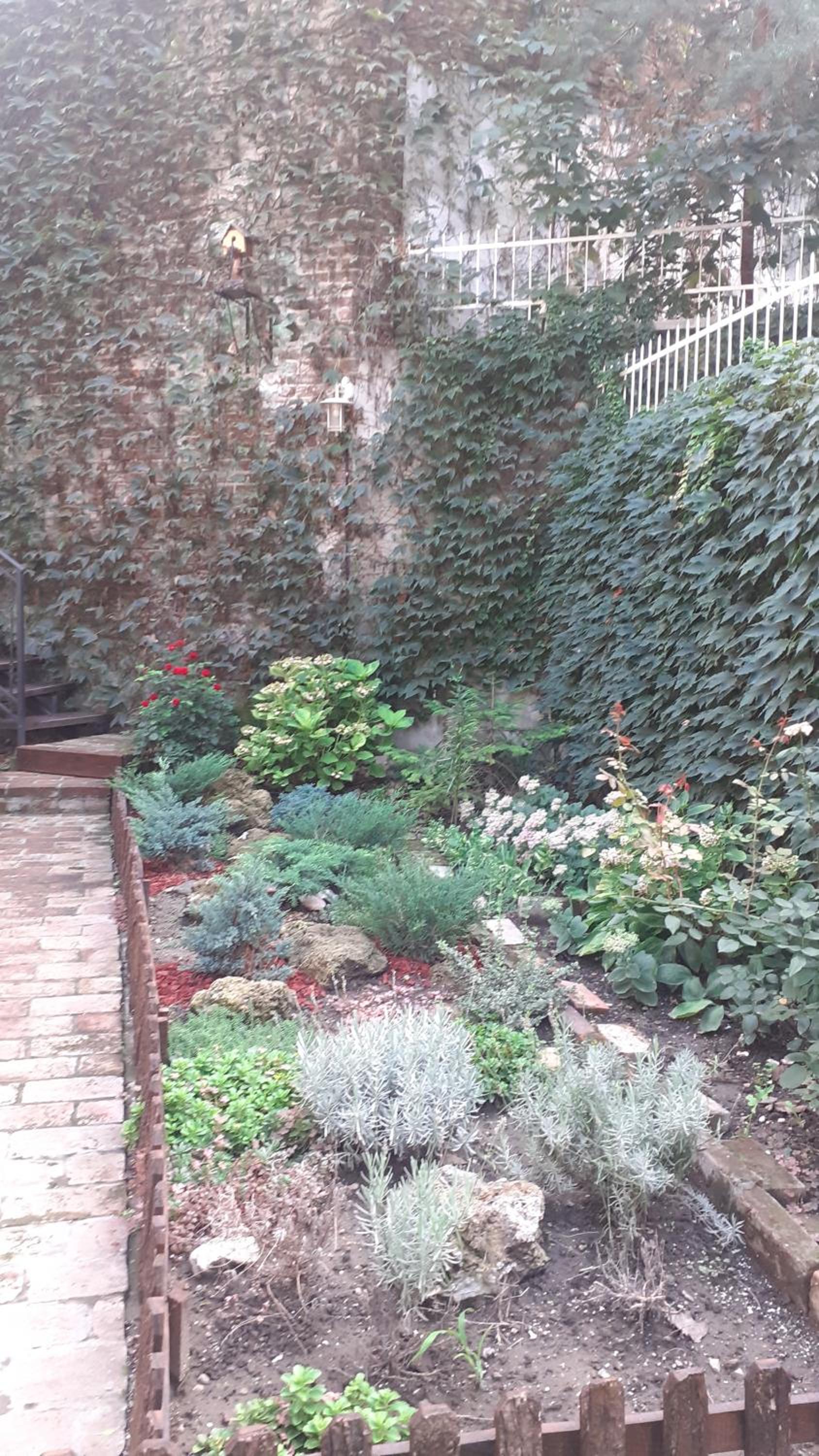 Photo 36