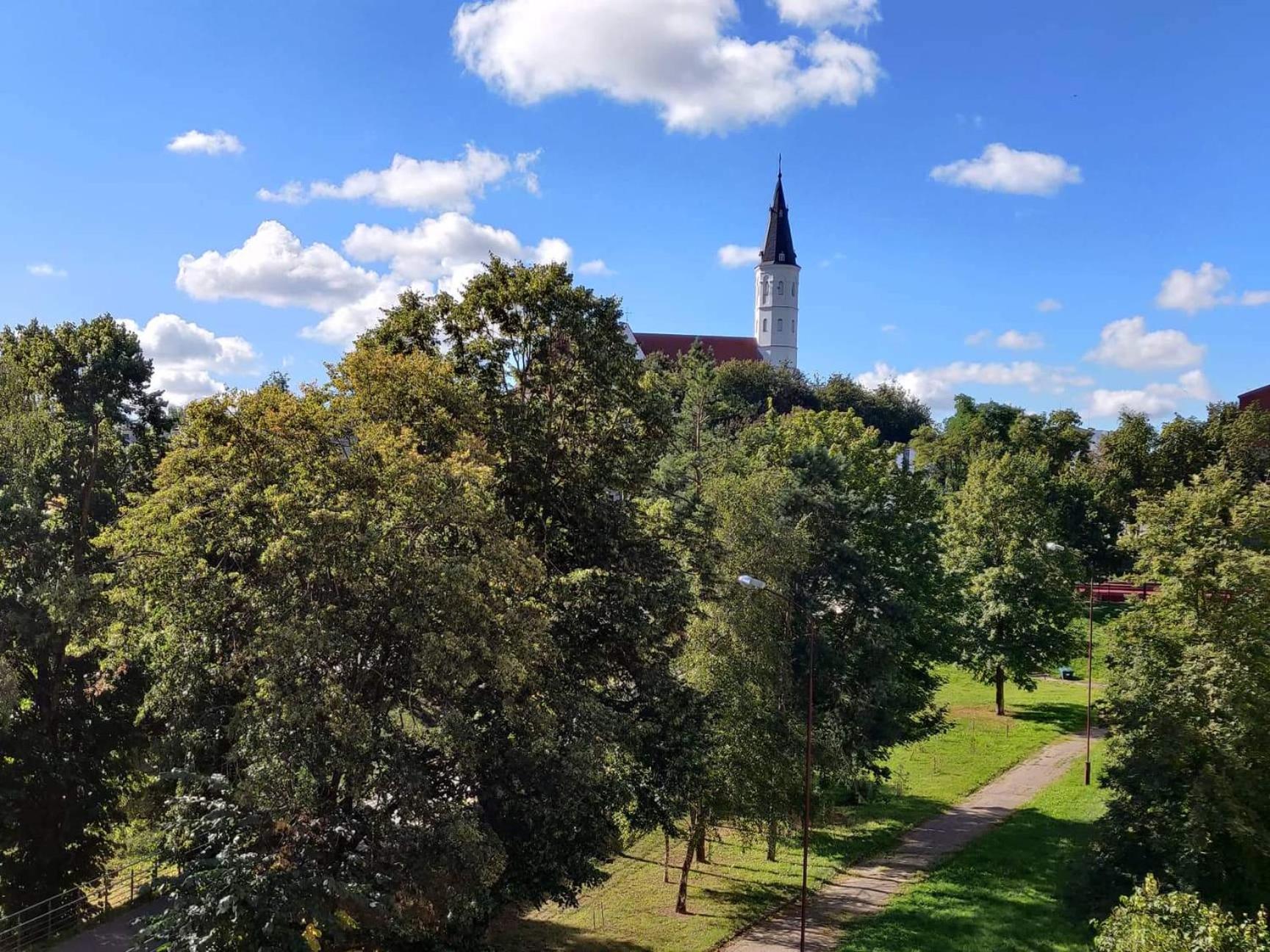 Centrinio parko apartamentai view 2