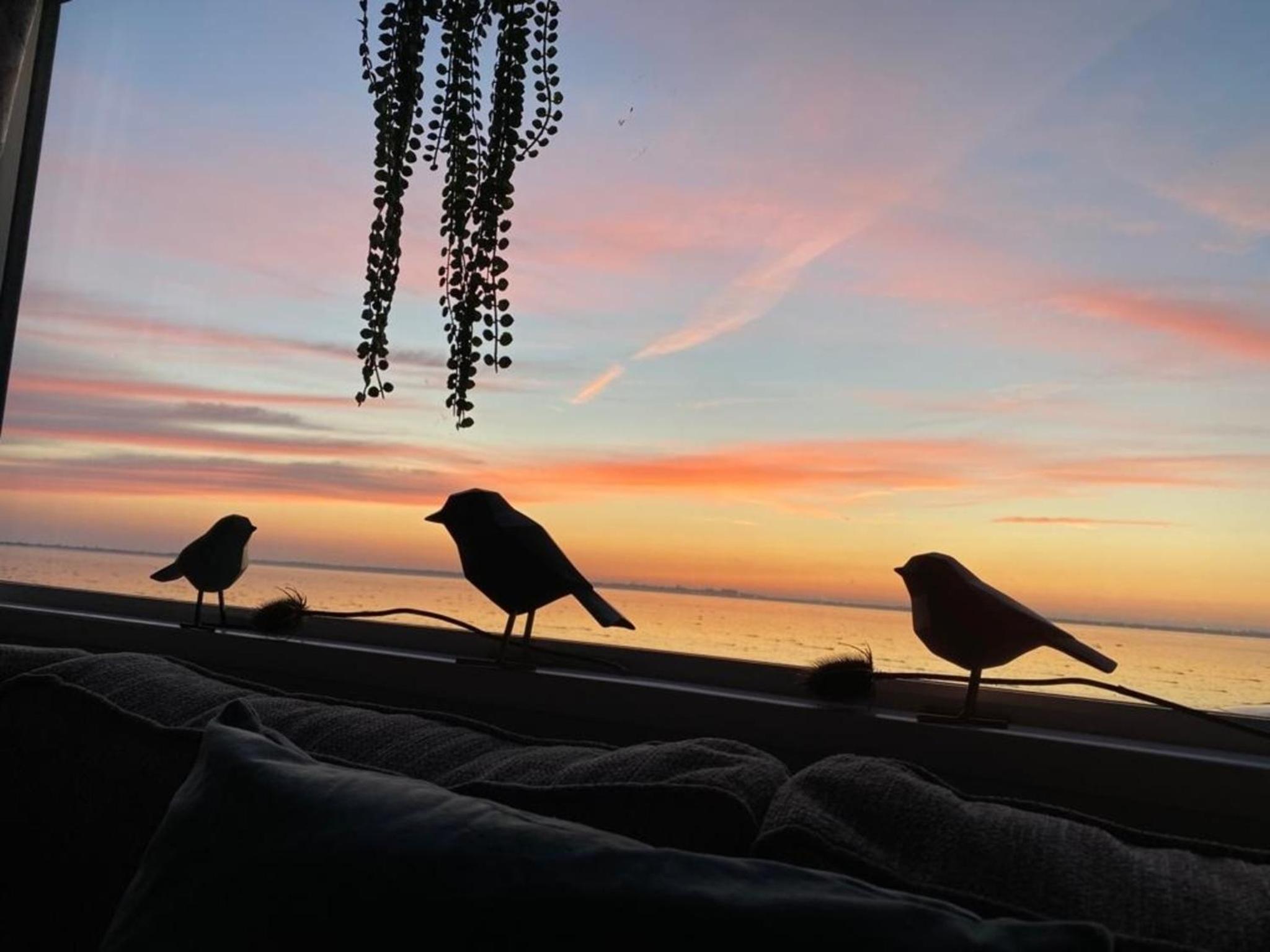 Traumlage Nr 58 Traumblick direkt am Wattenmeer erste Reihe unendliche Weite, eingebettet in der Natur view 3
